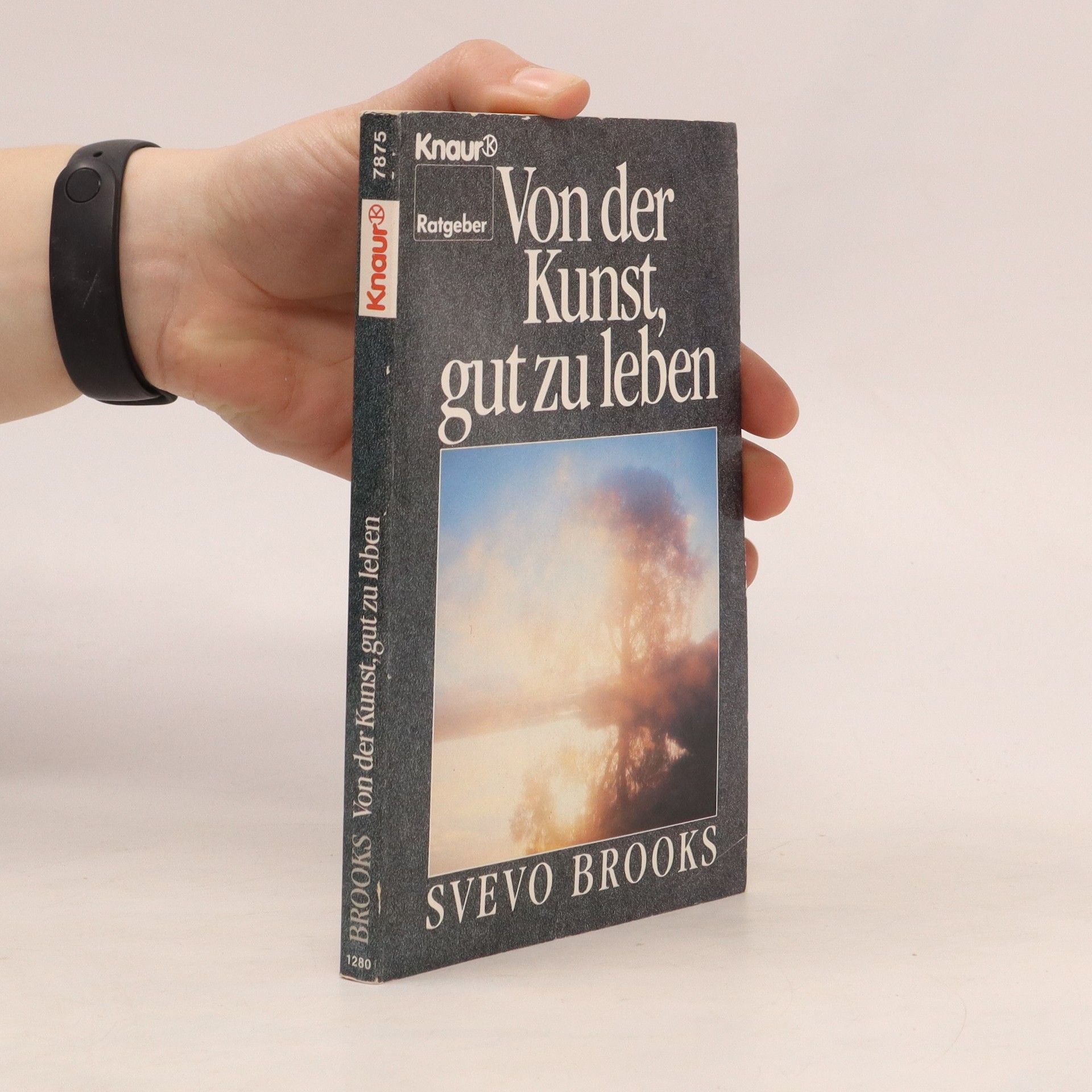 Svevo Brooks Von der Kunst, gut zu leben
