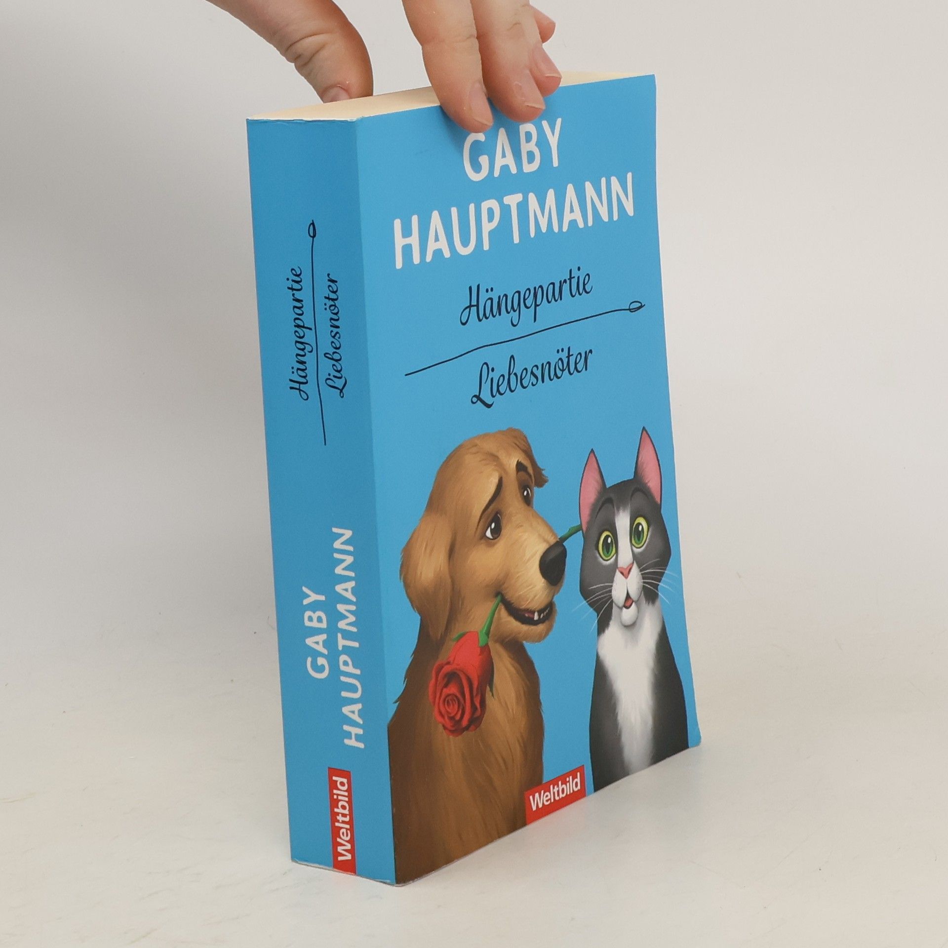 Gaby Hauptmann Hängepartie. Liebesnöter