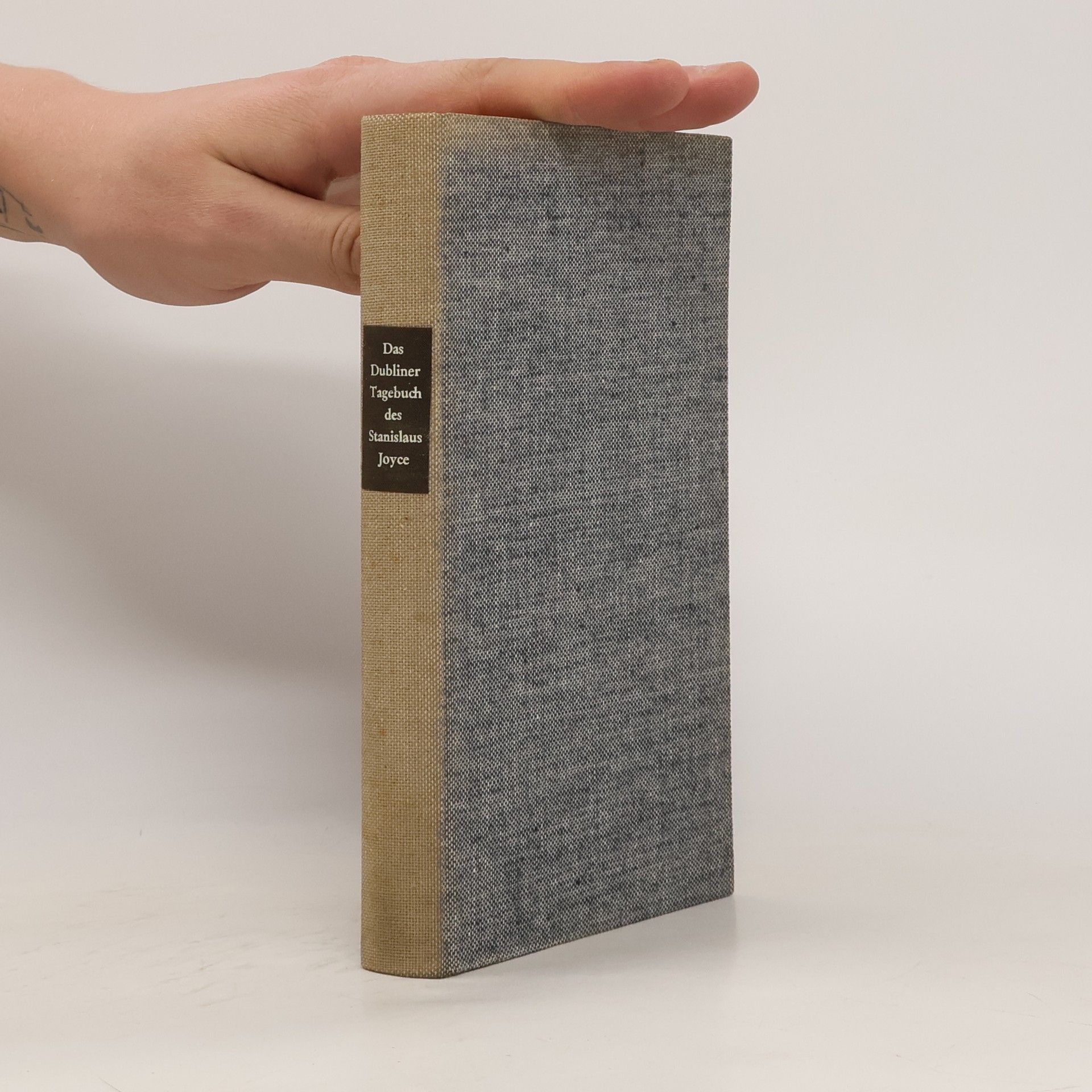 Stanislaus Joyce Das Dubliner Tagebuch