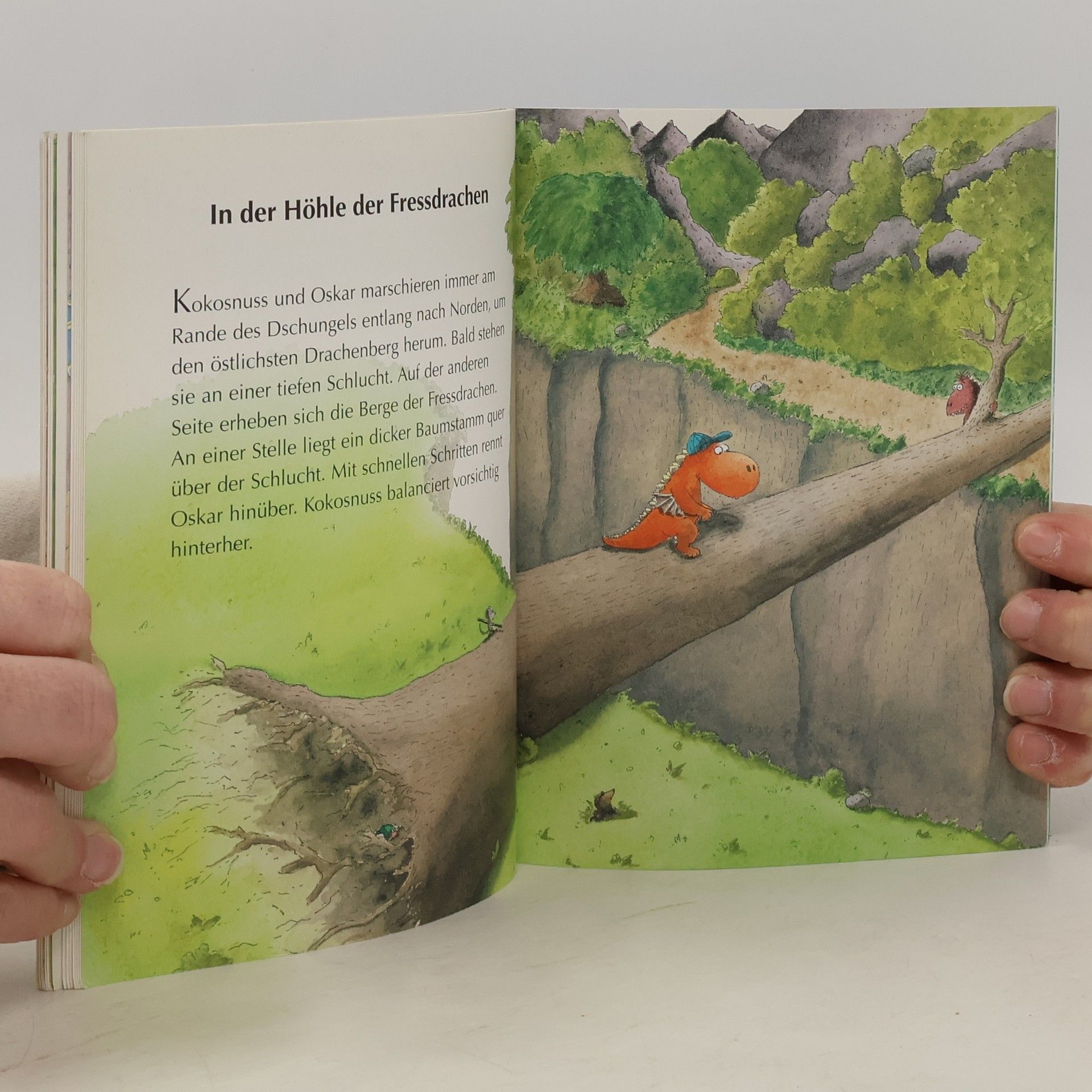 Ingo Siegner Der kleine Drache Kokosnuss kommt in die Schule