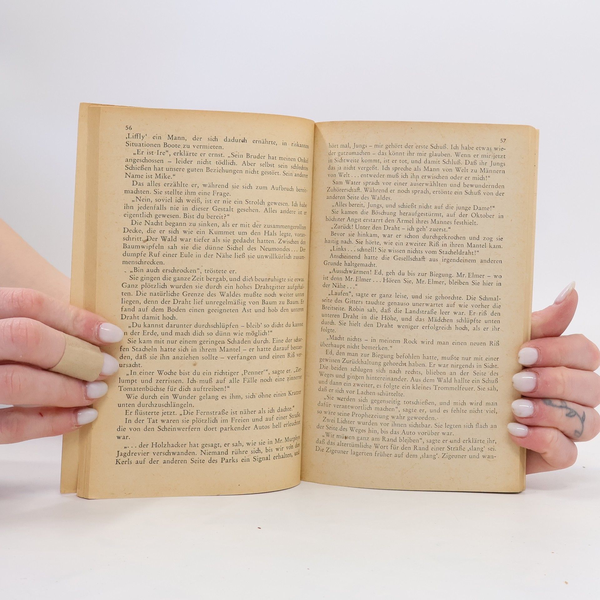 Edgar Wallace Nach Norden, Strolch!