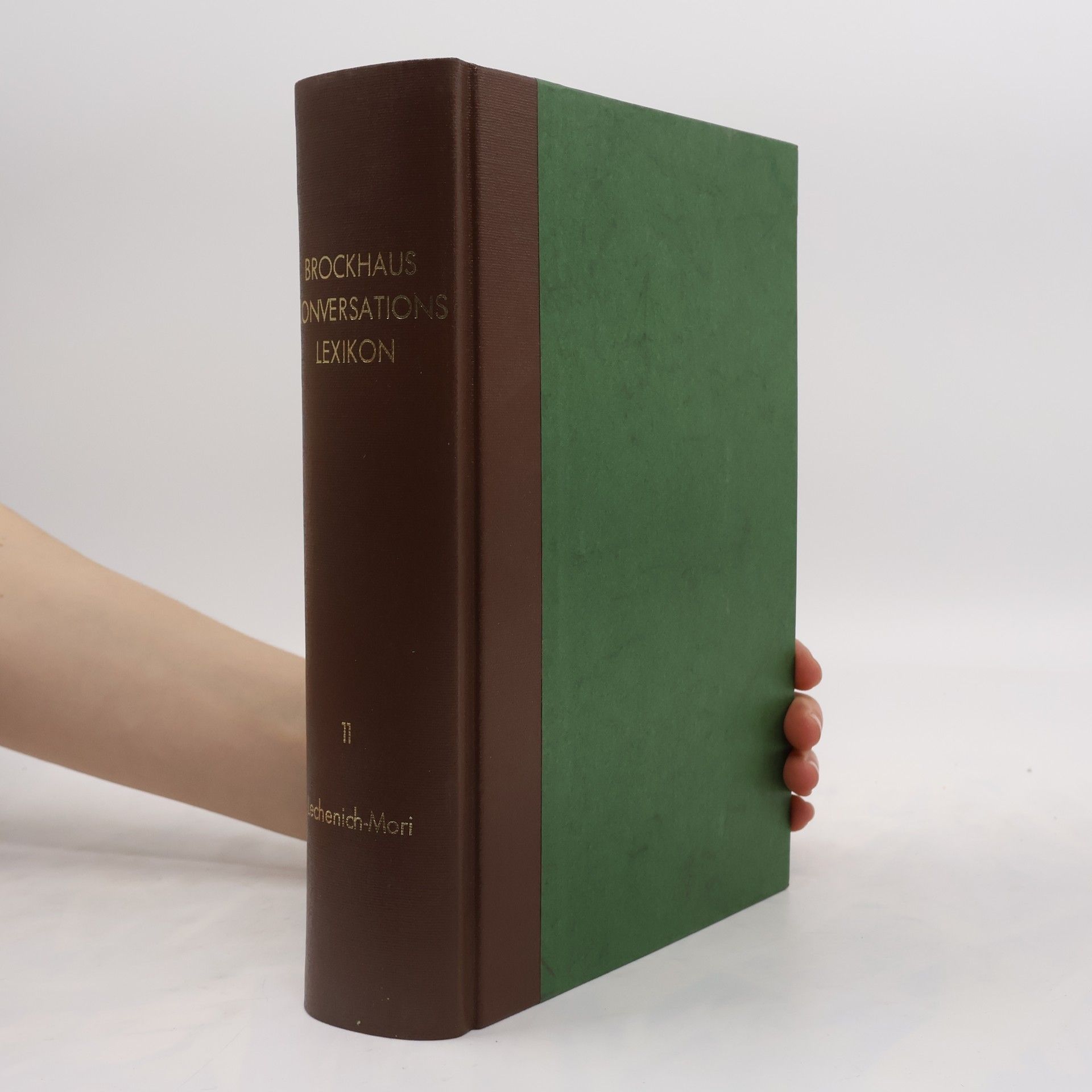 kolektiv Brockhaus Konversations Lexikon 11