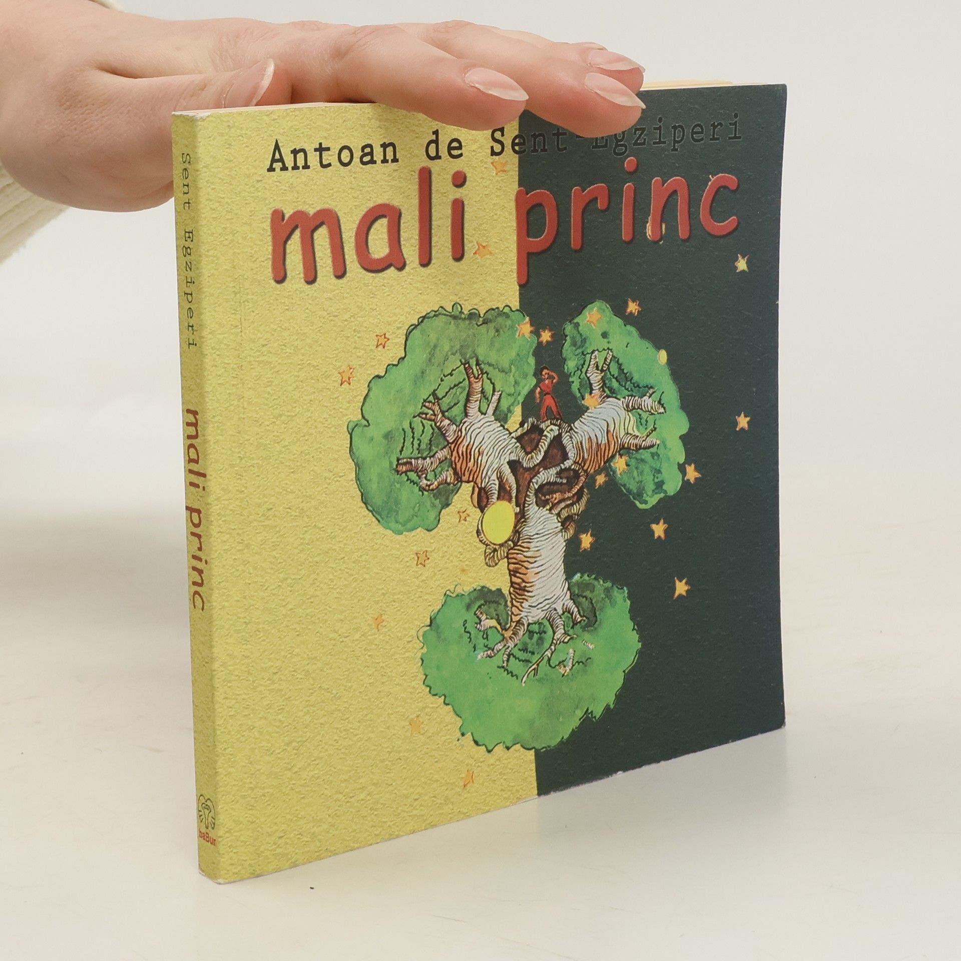 Antoine de Saint-Exupéry Mali princ