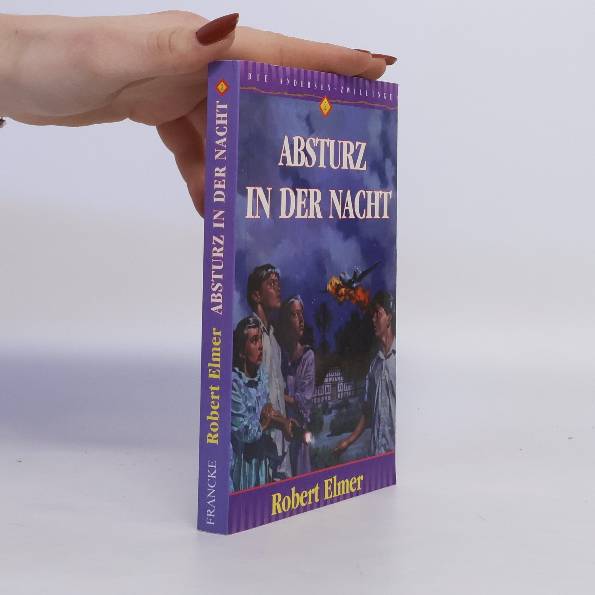 Robert Elmer Absturz in der Nacht