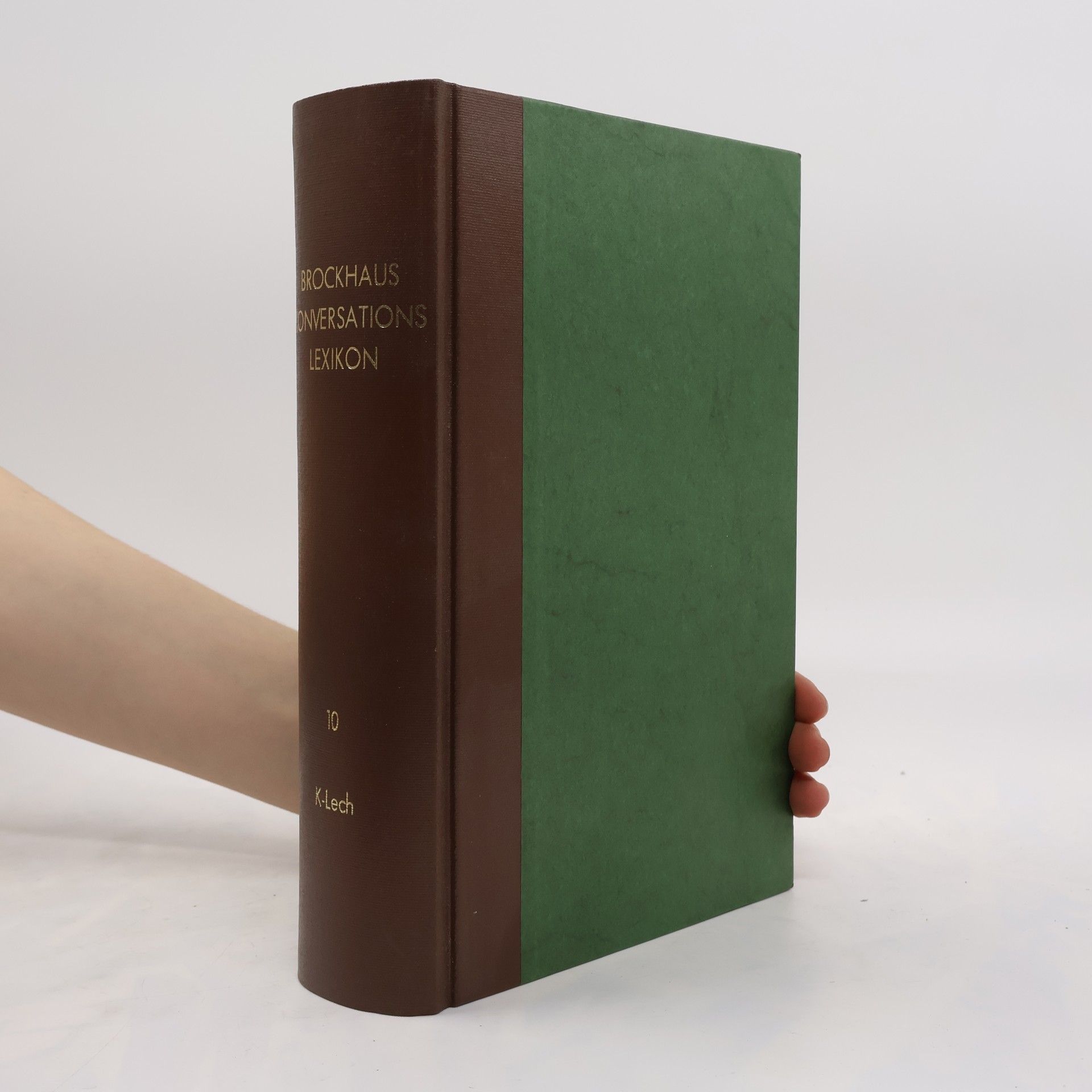 kolektiv Brockhaus' Konversations Lexikon 10