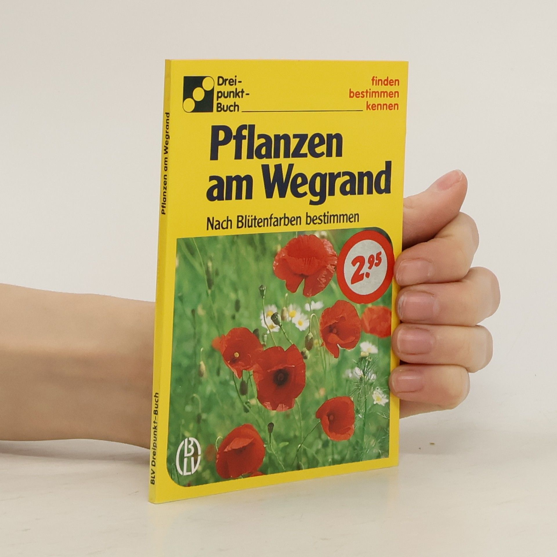 Alfred Handel Pflanzen am Wegrand