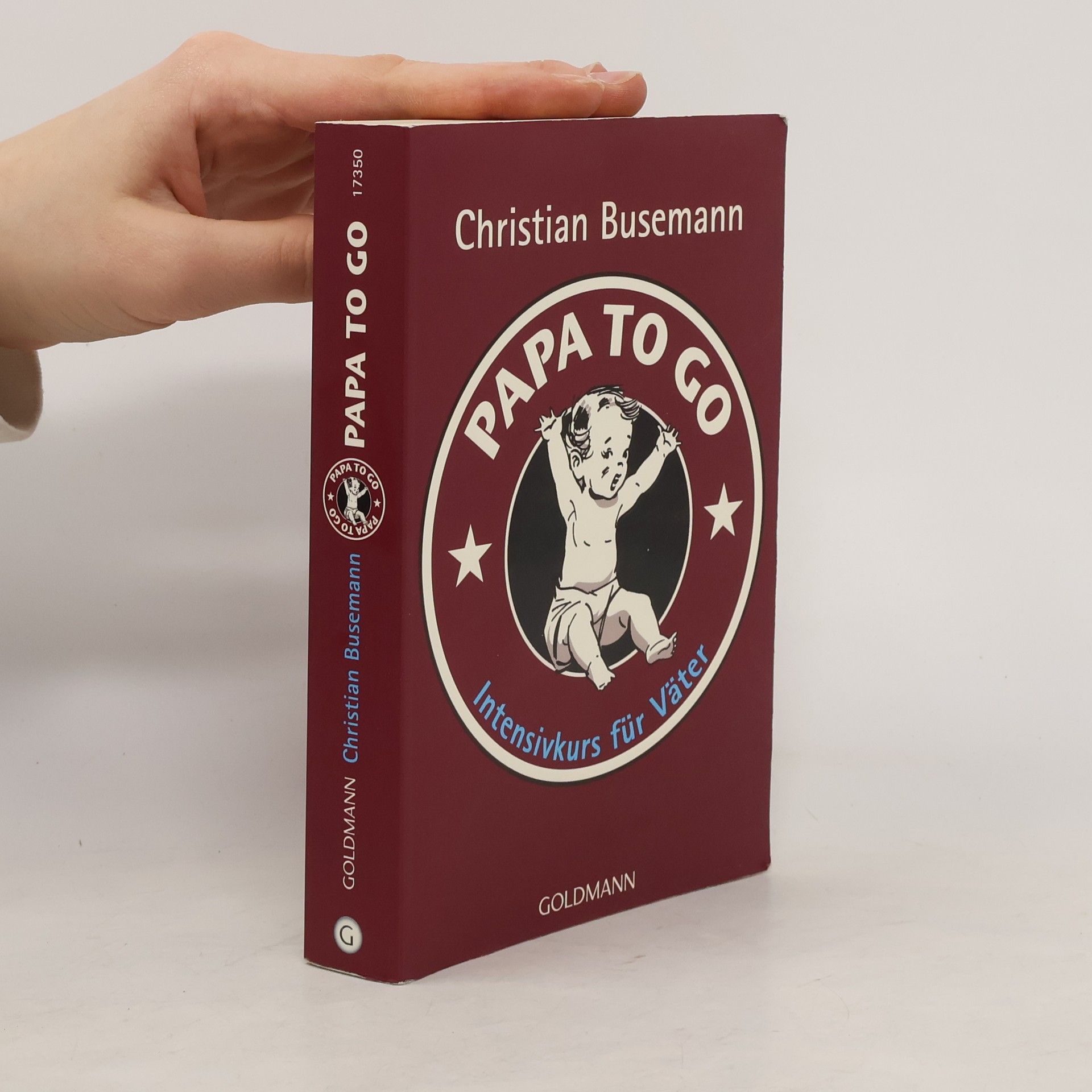 Christian Busemann Papa to go - Intensivkurs für Väter