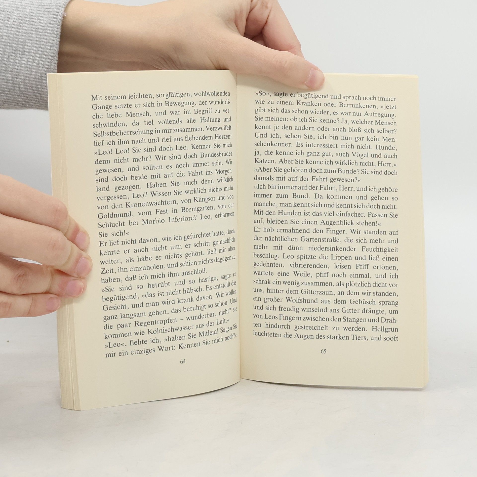 Hermann Hesse Die Morgenlandfahrt