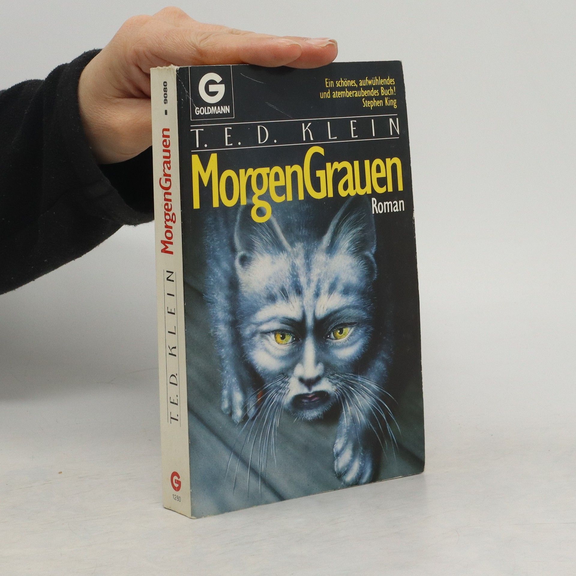 T. E. D. Klein MorgenGrauen. Roman.