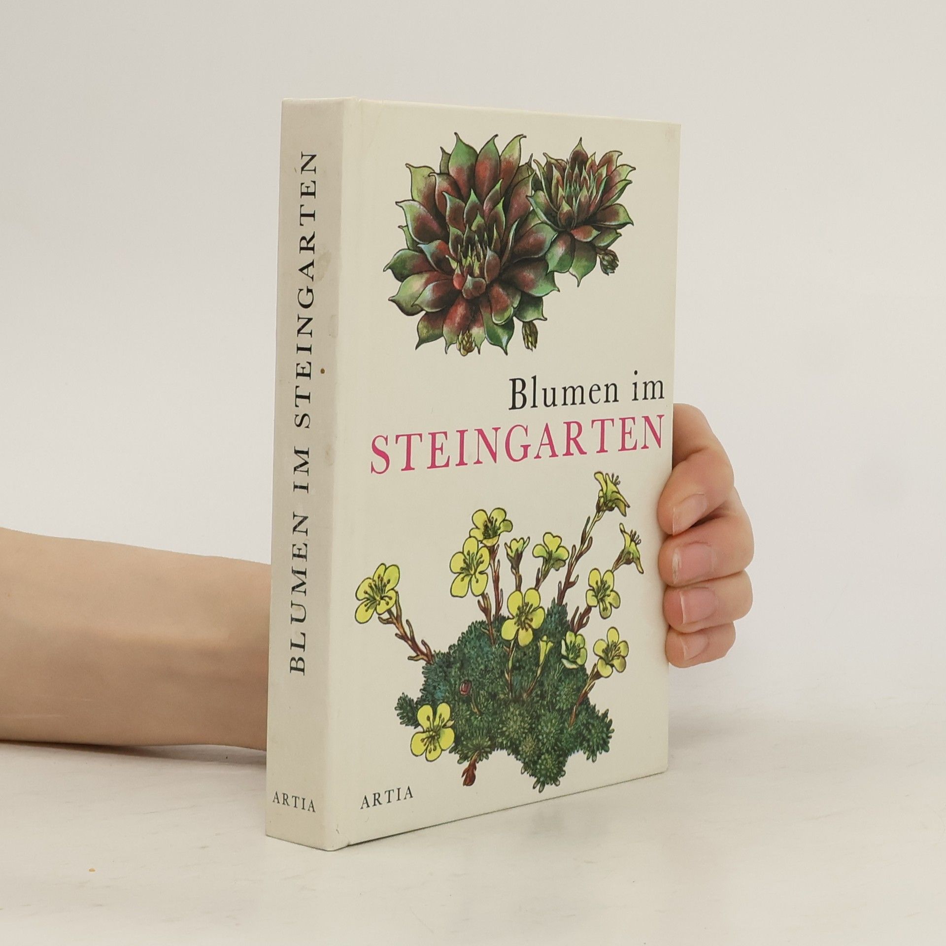 Cestmír Böhm Blumen im Steingarten