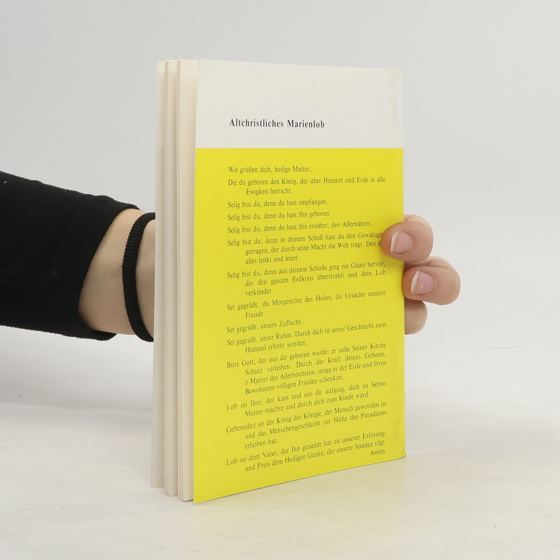 Autorenkollektiv Die schönsten Mariengeschichten