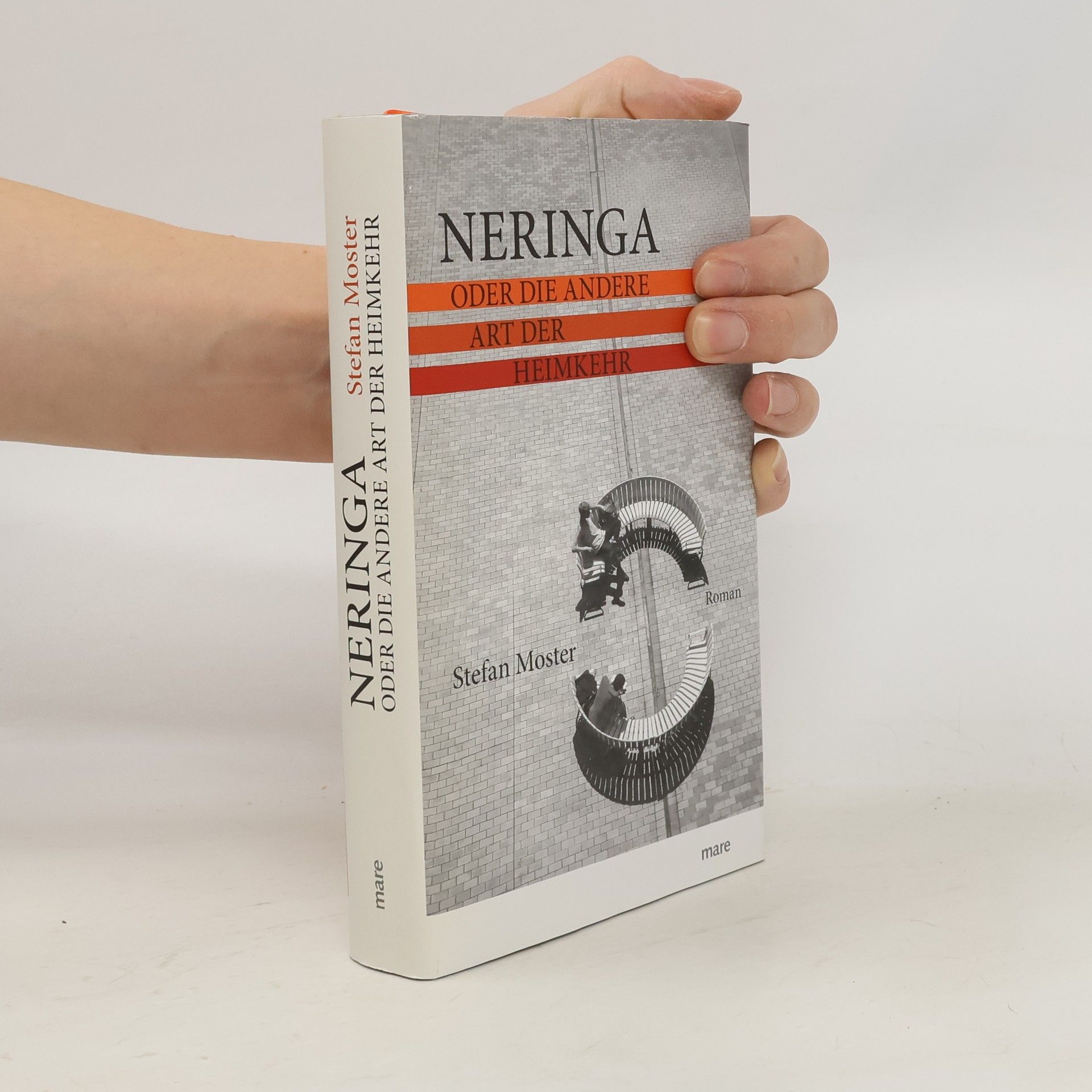 Stefan Moster Neringa oder Die andere Art der Heimkehr