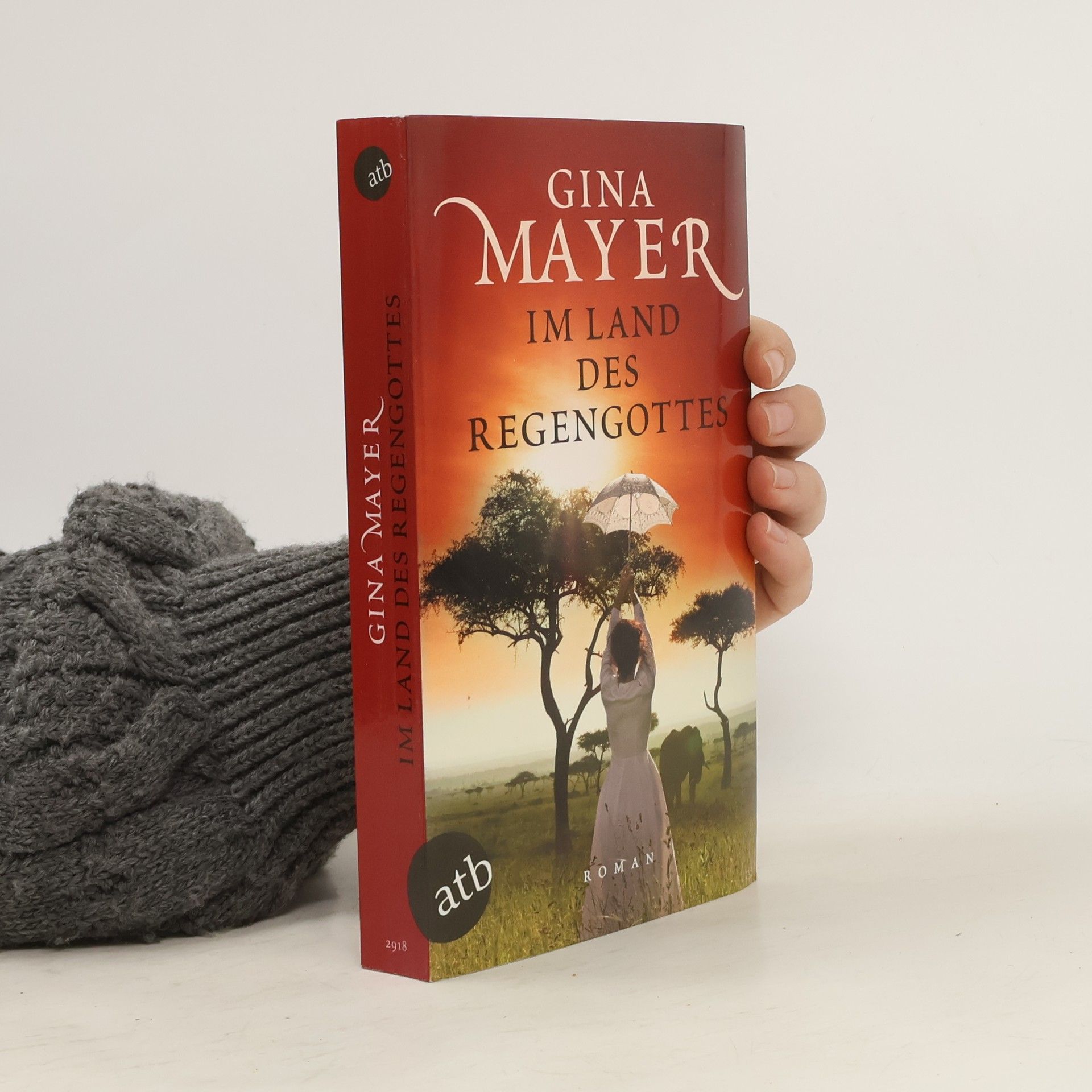 Gina Mayer Im Land des Regengottes