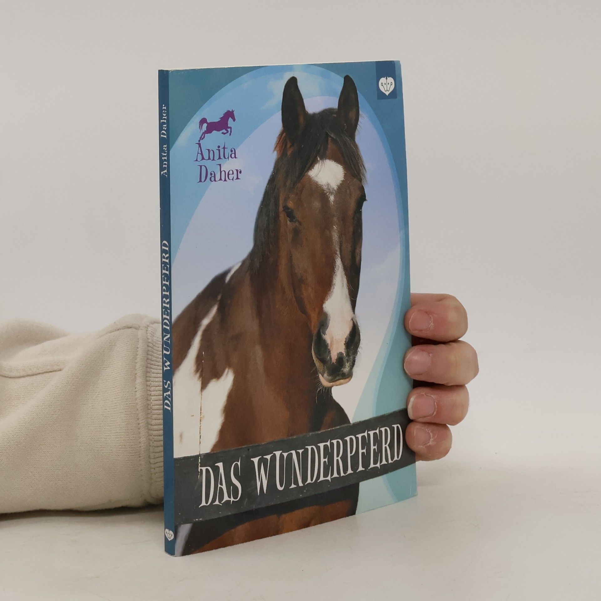 Anita Daher Das Wunderpferd