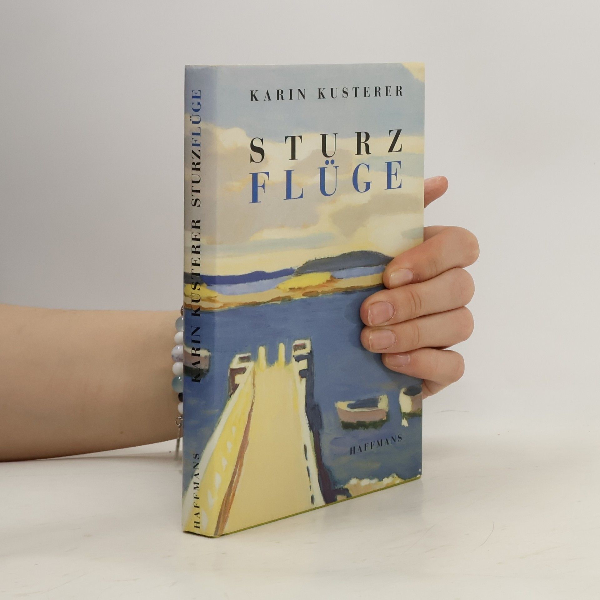 Karin Kusterer Sturzflüge