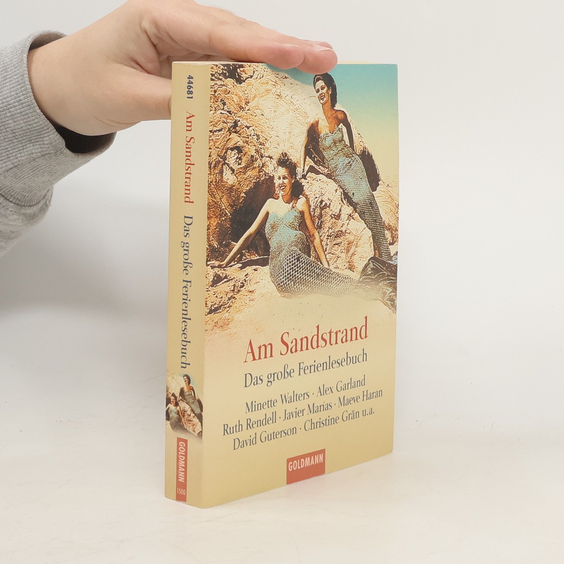 Frauke Brodd Am Sandstrand. Das große Ferienlesebuch