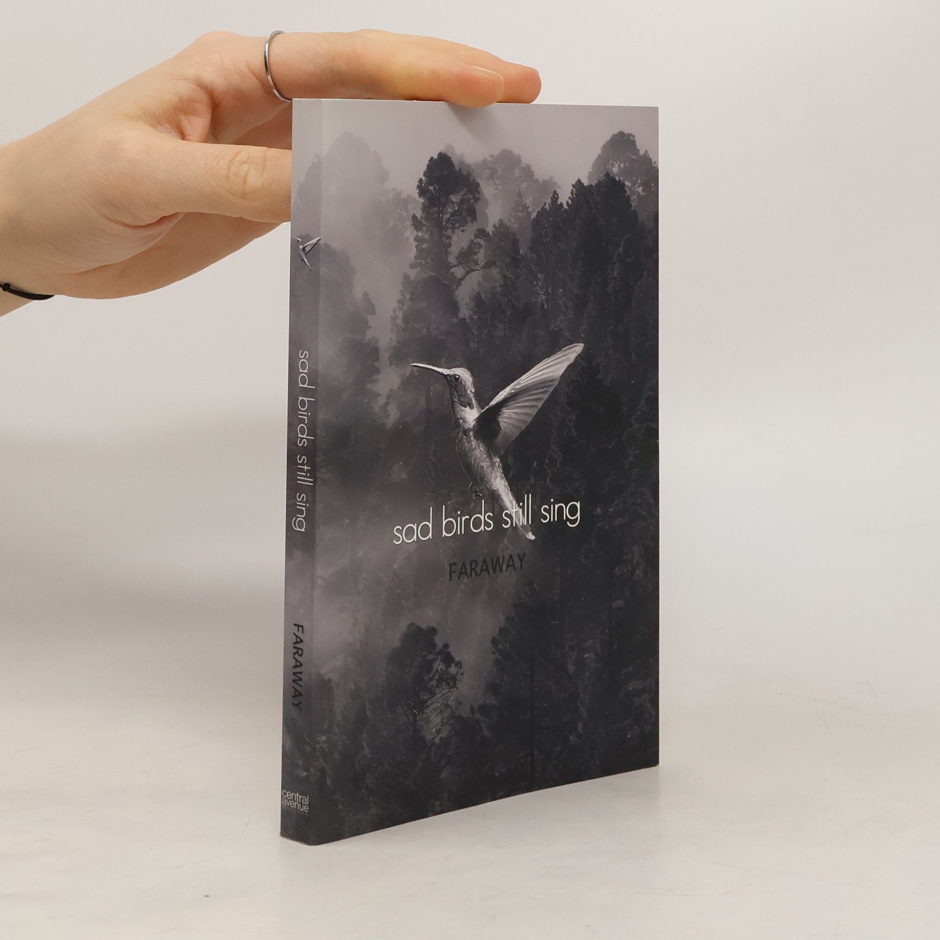 Sad Birds Still Sing