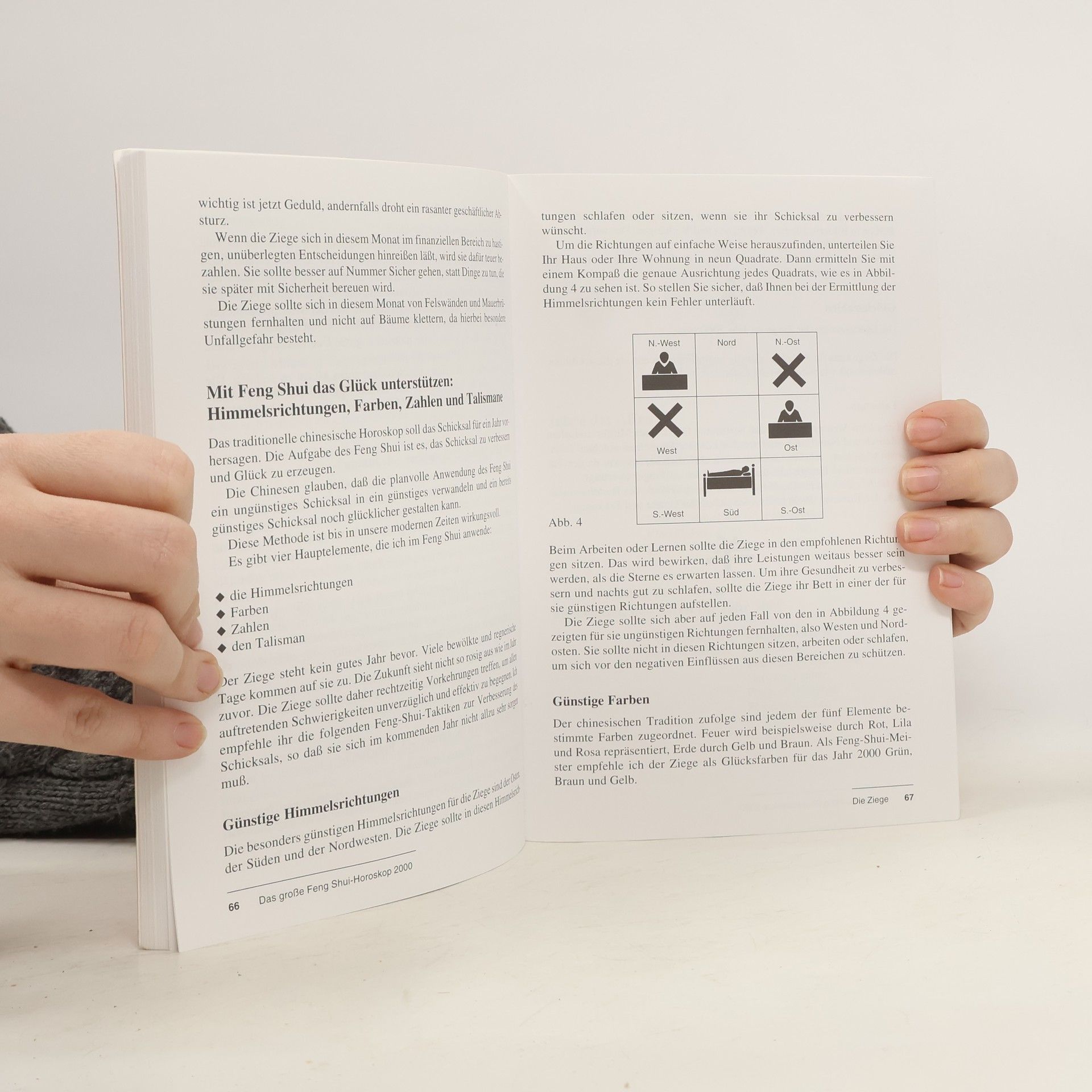 Autorenkollektiv Das große Feng-Shui-Horoskop 2000