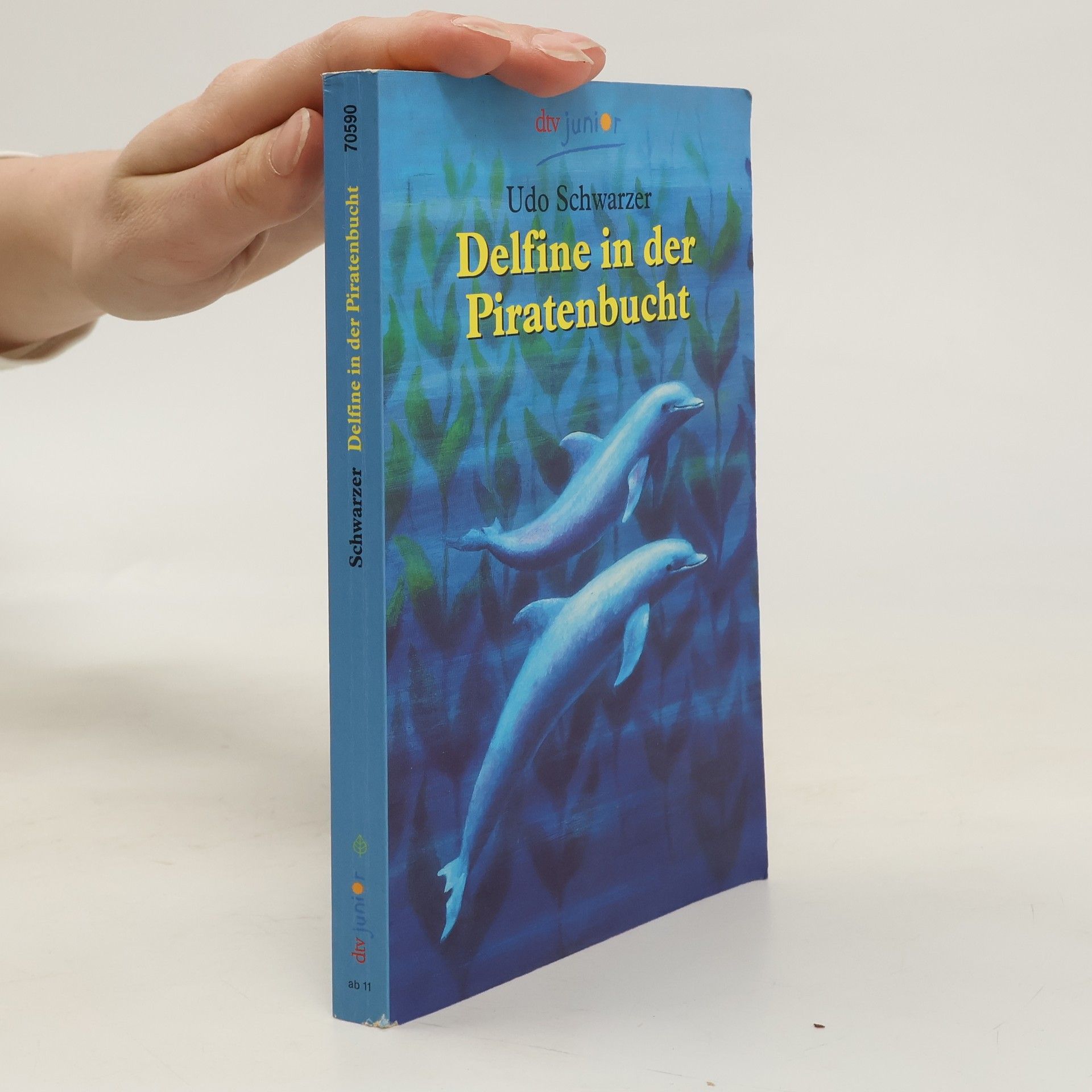 Udo Schwarzer Delfine in der Piratenbucht