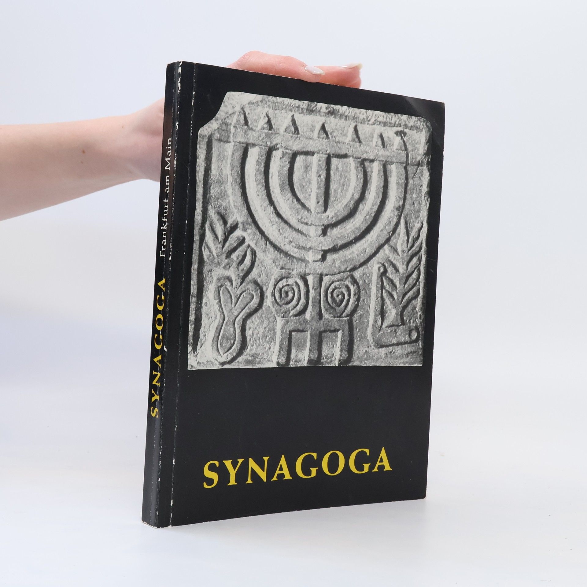kolektiv Synagoga