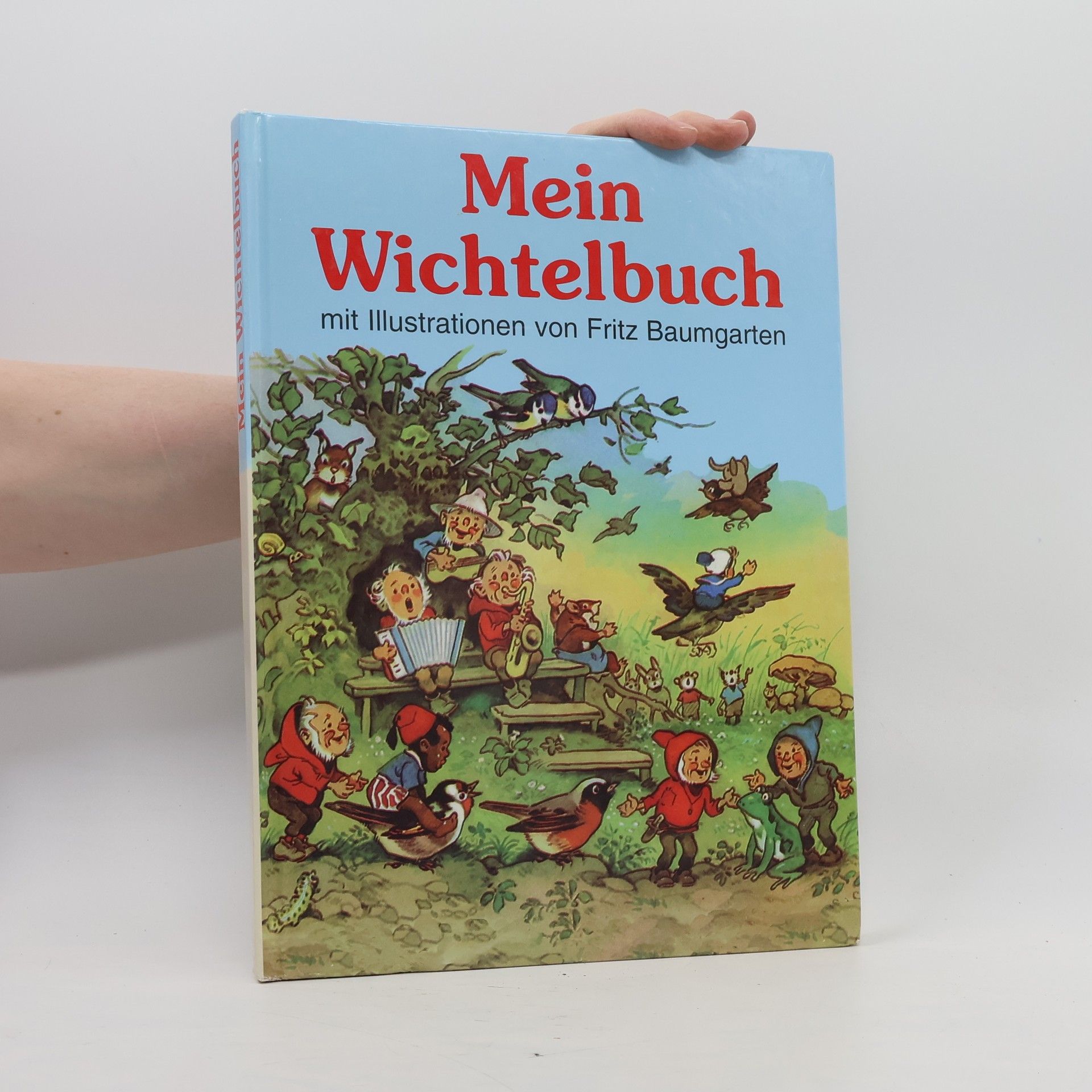 Wolfgang Mennel Mein Wichtelbuch