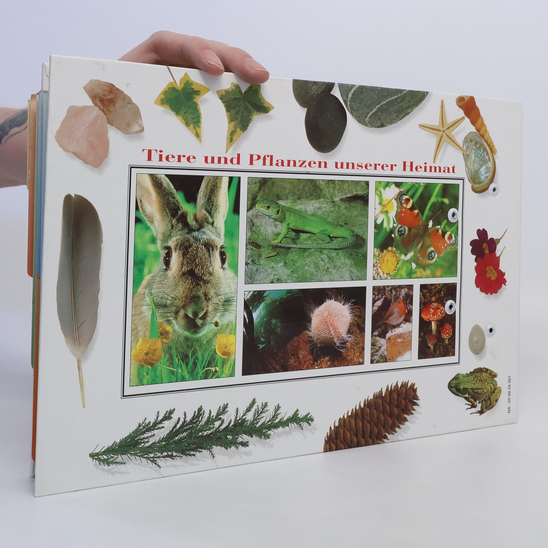 Various authors Abenteuer Natur