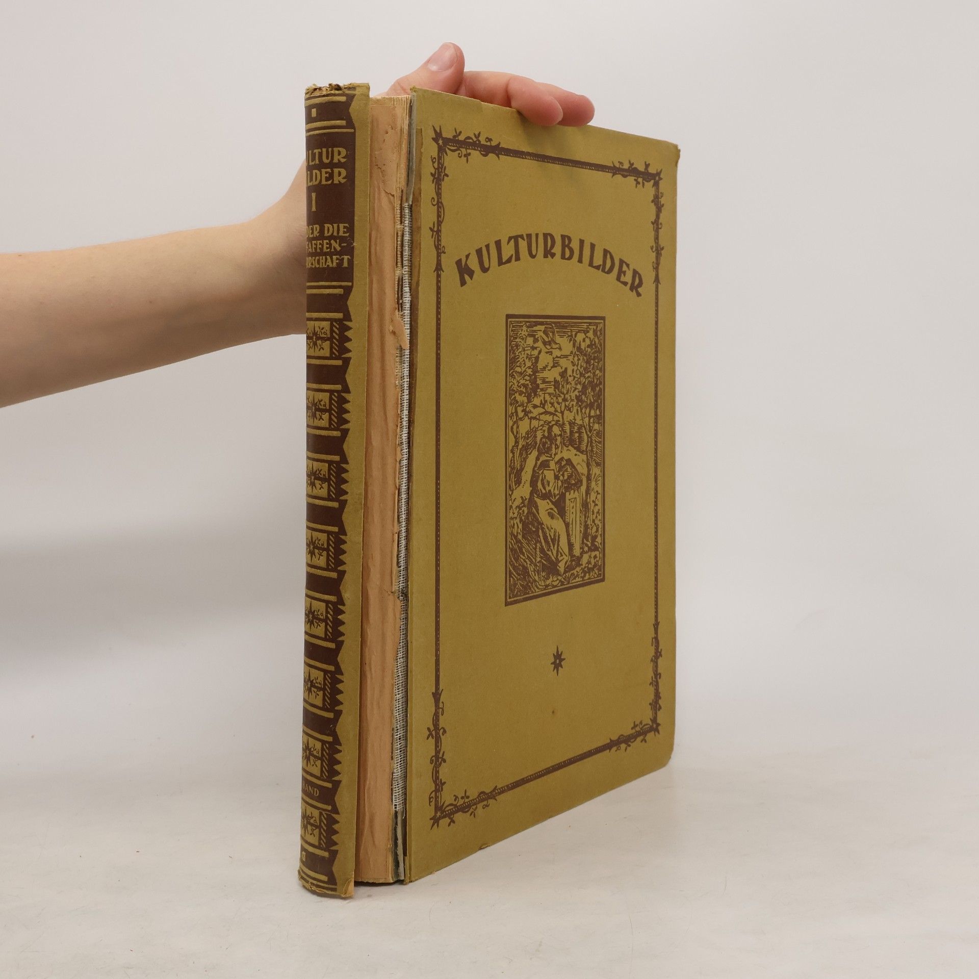 Emil Rosenow Kulturbilder. Wider die Pfaffenherrschaft