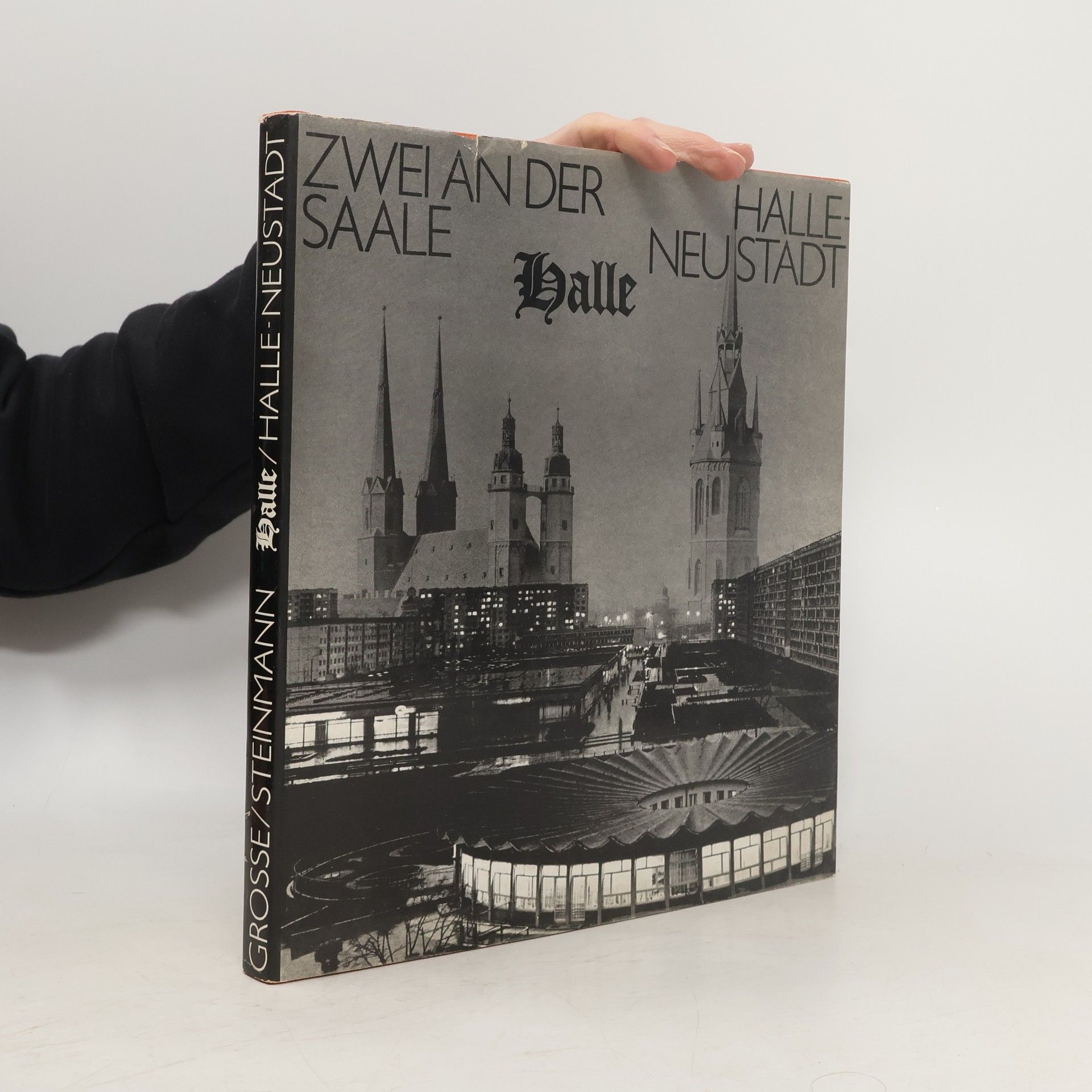 Hans-Jürgen Steinmann Zwei an der Saale. Halle Neustadt