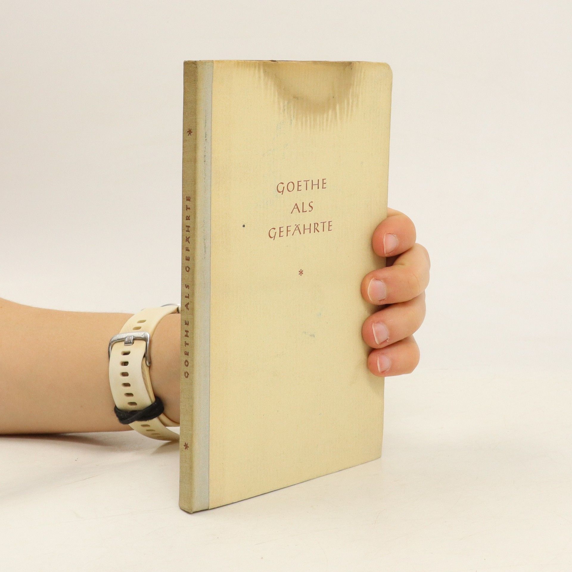 Autorenkollektiv Goethe als Gefährte