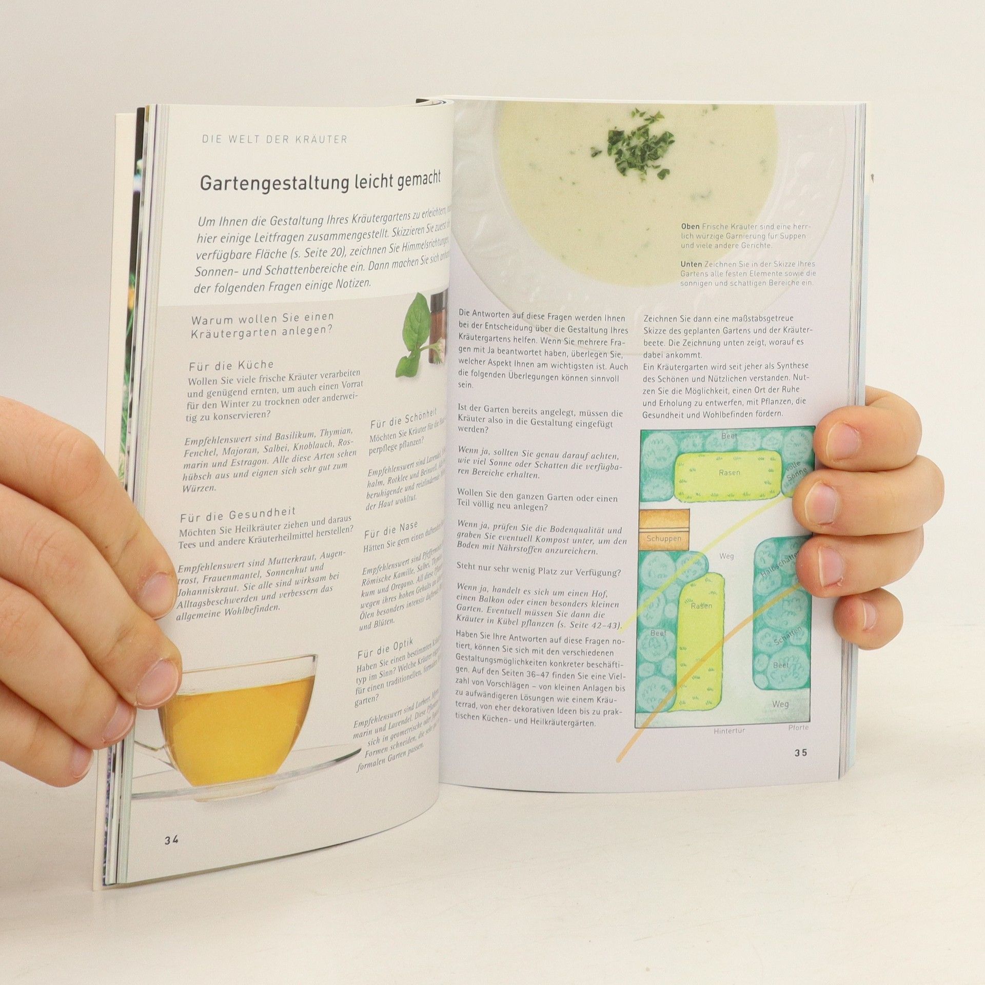 Autorenkollektiv Kräuter - Anbau, Rezepte, medizinische Verwendung