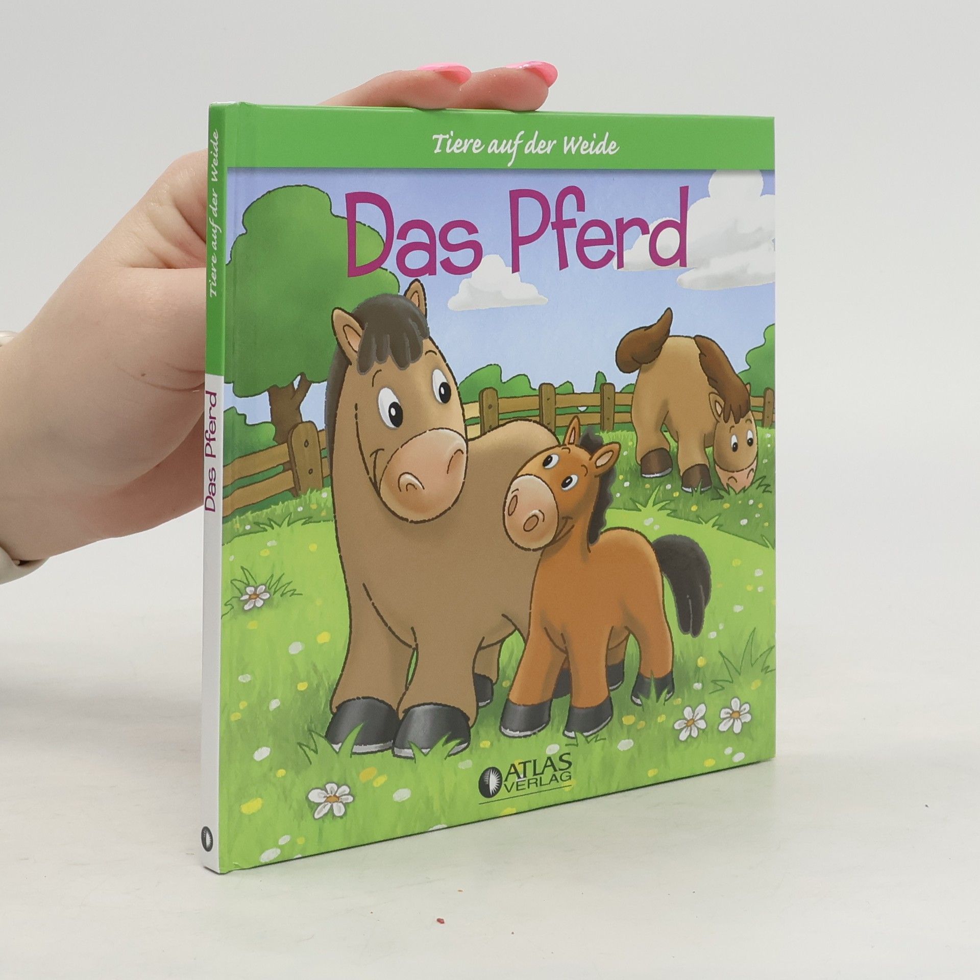 Autorenkollektiv Das Pferd
