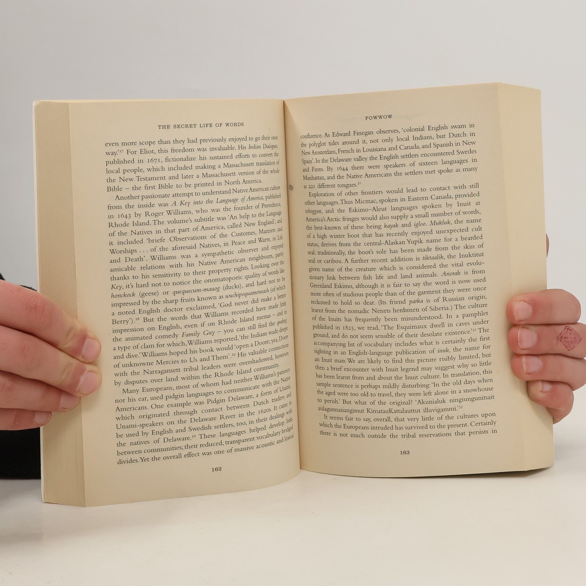 Henry Hitchings The Secret Life of Words