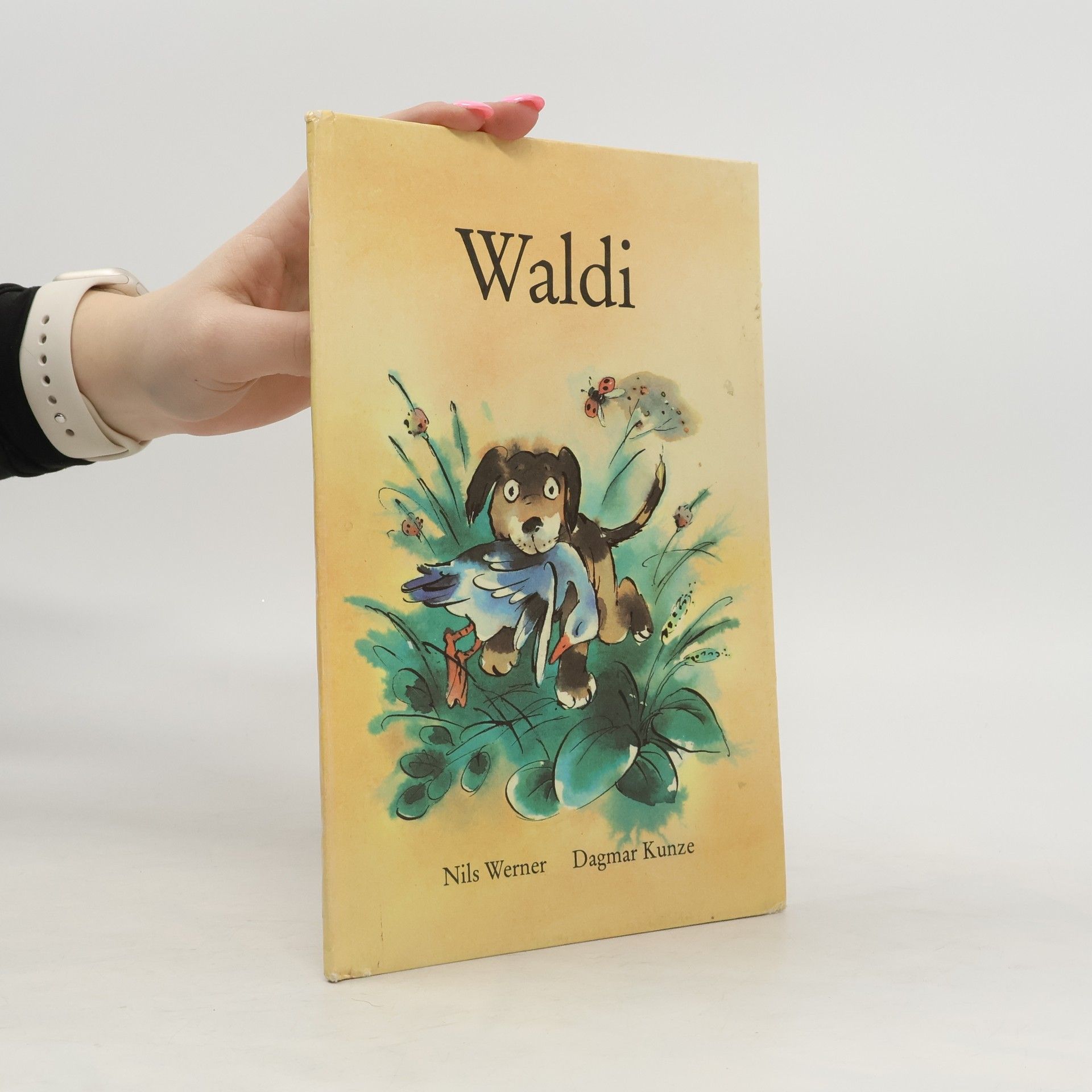 Nils Werner Waldi
