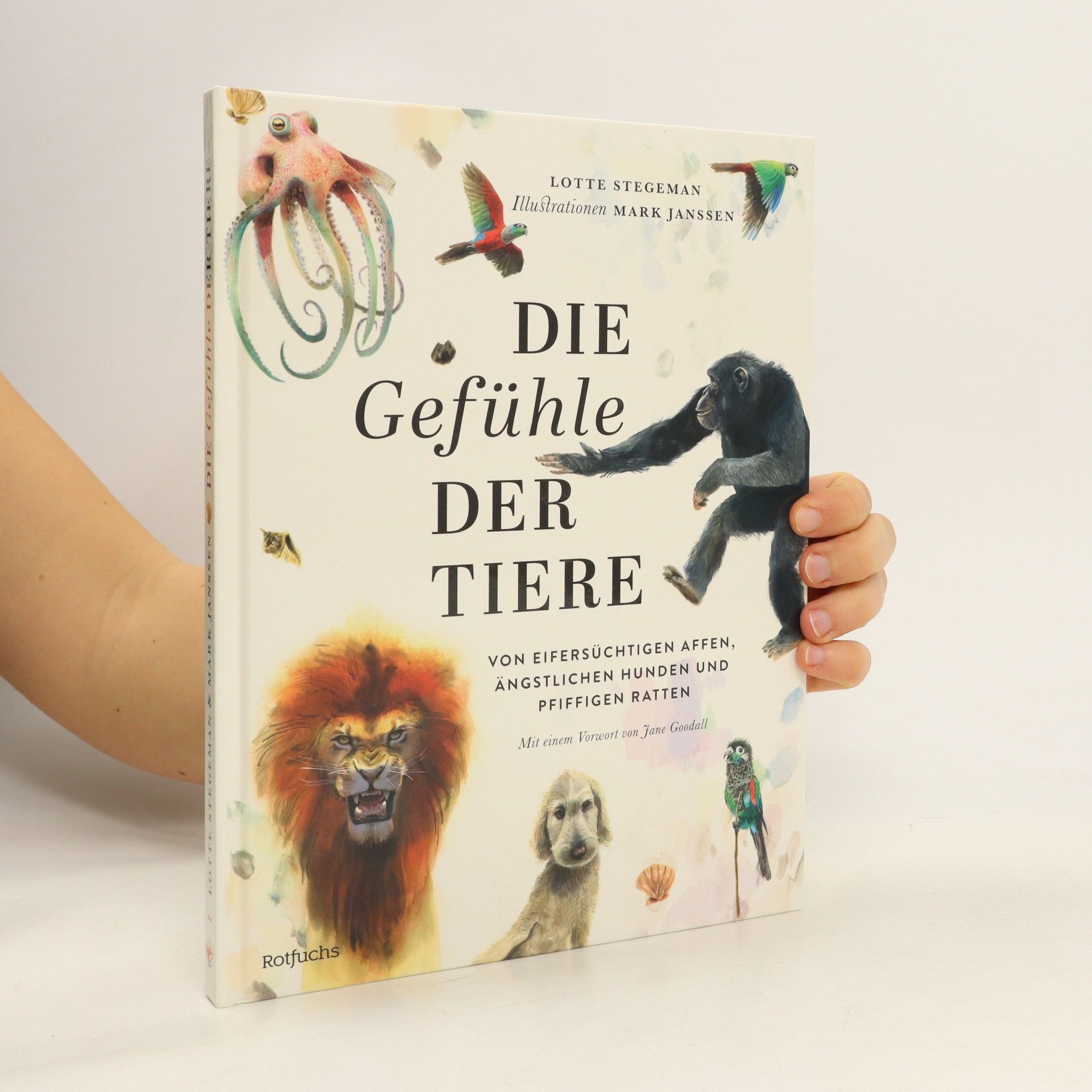 Lotte Stegeman Die Gefühle der Tiere