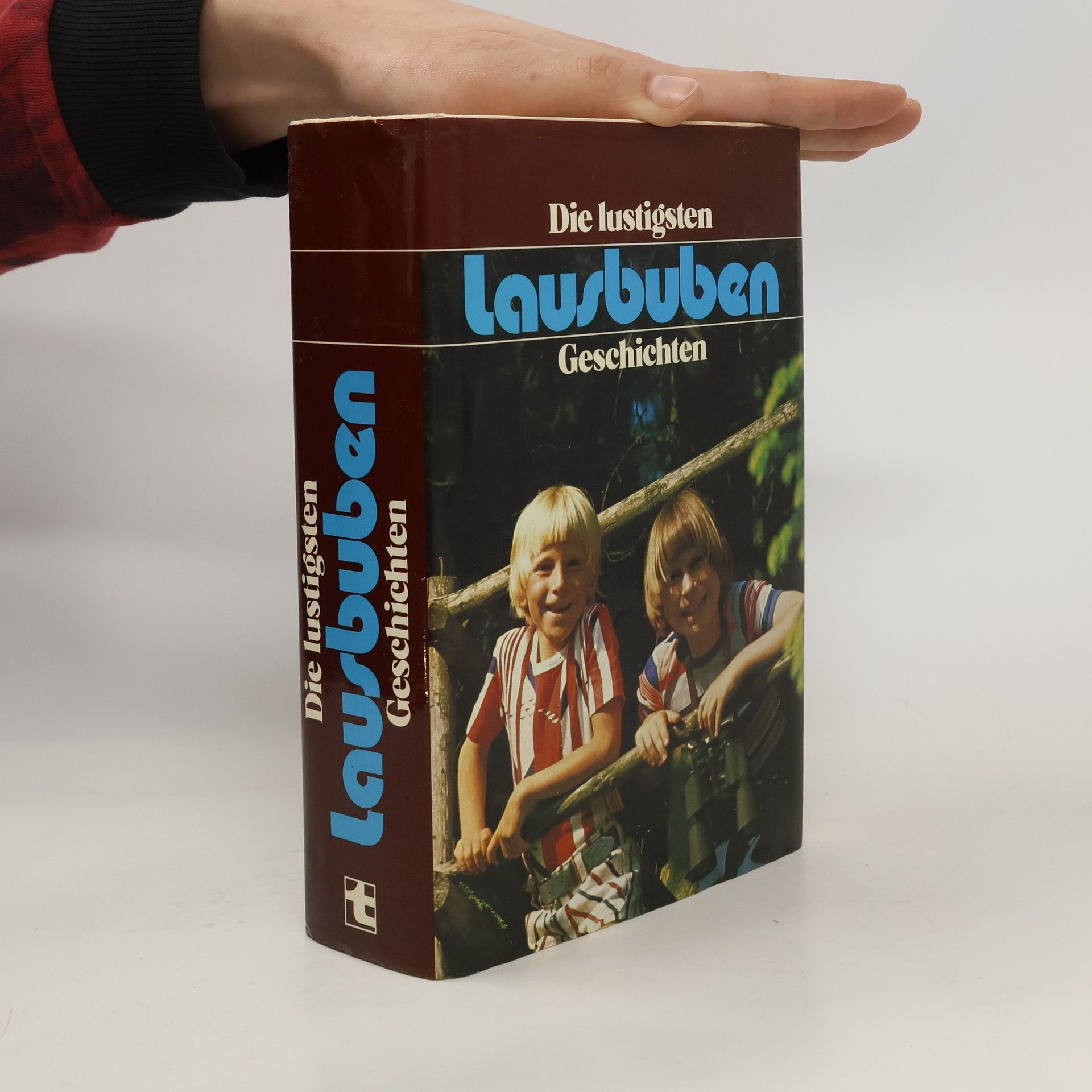 Collectif d'auteurs Die Lausbuben Geschichten