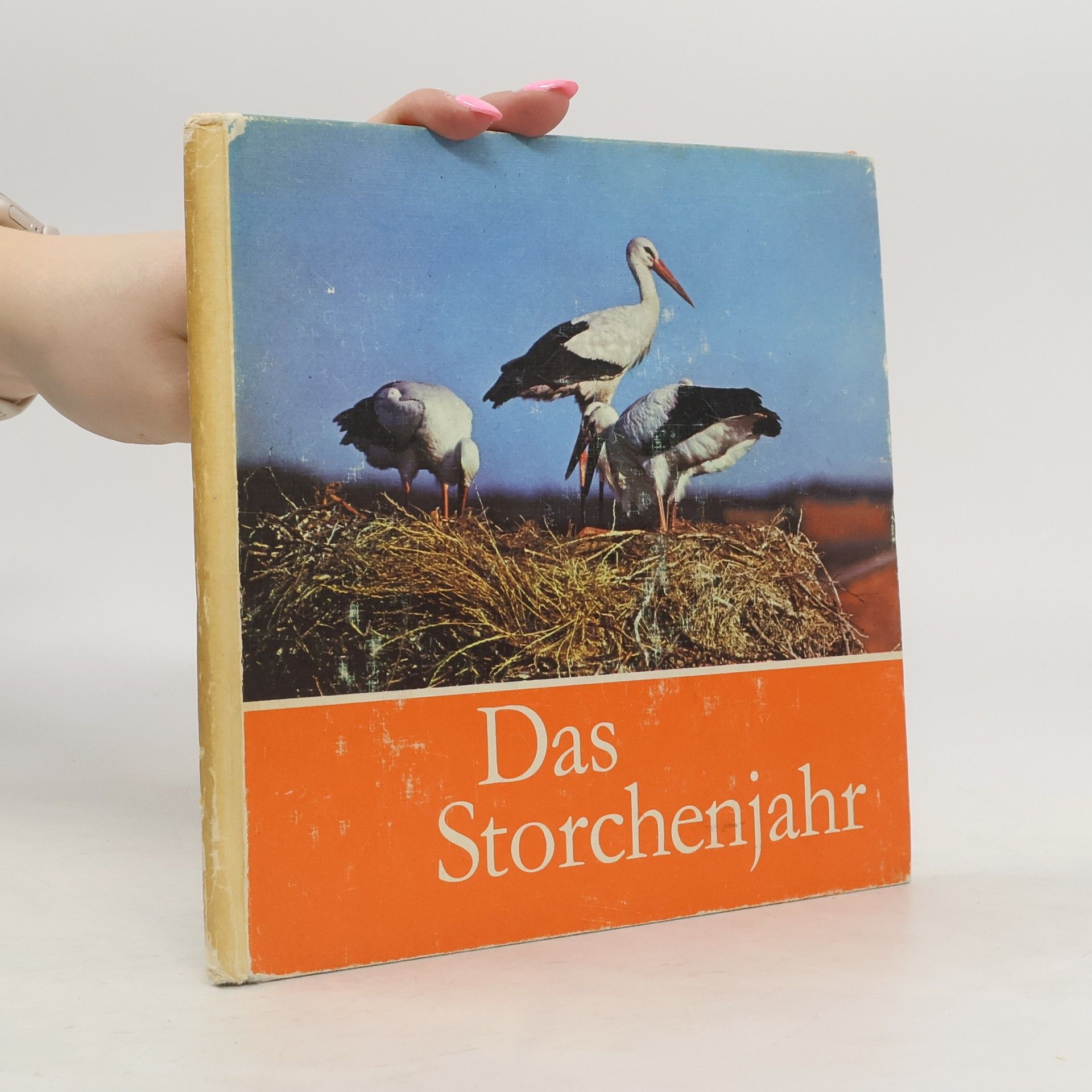 kolektiv Das Storchenjahr