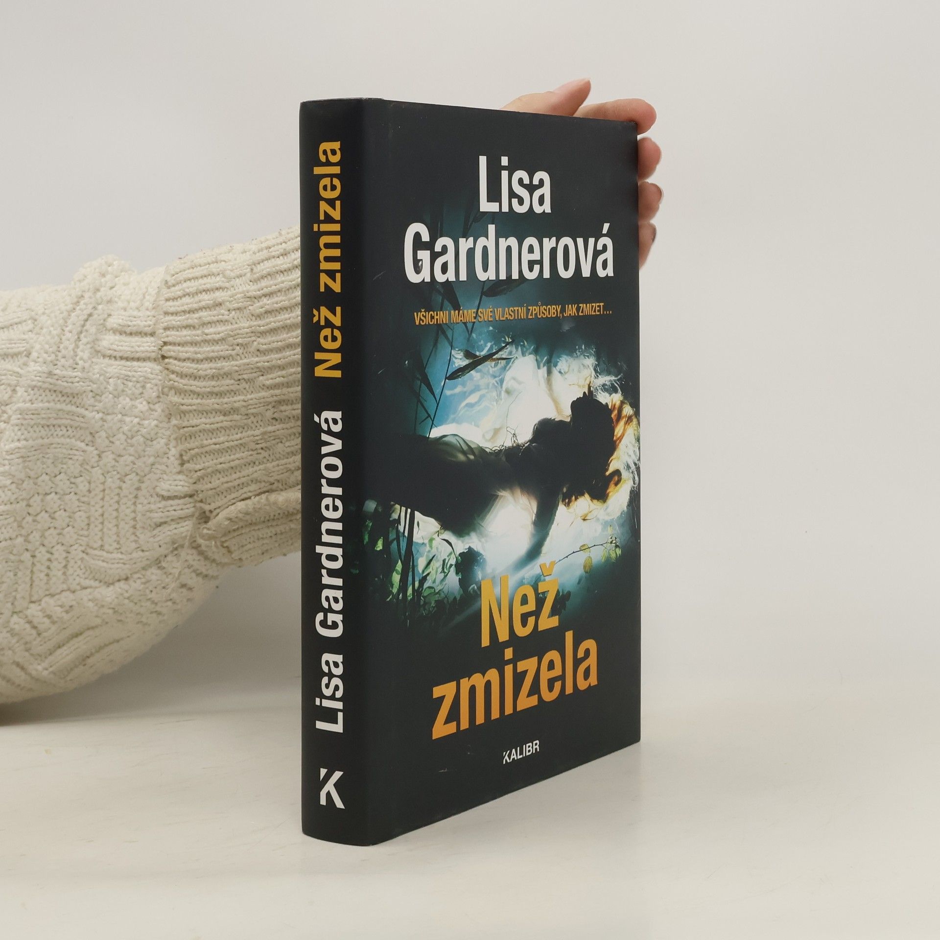 Irena Steinerová Než zmizela