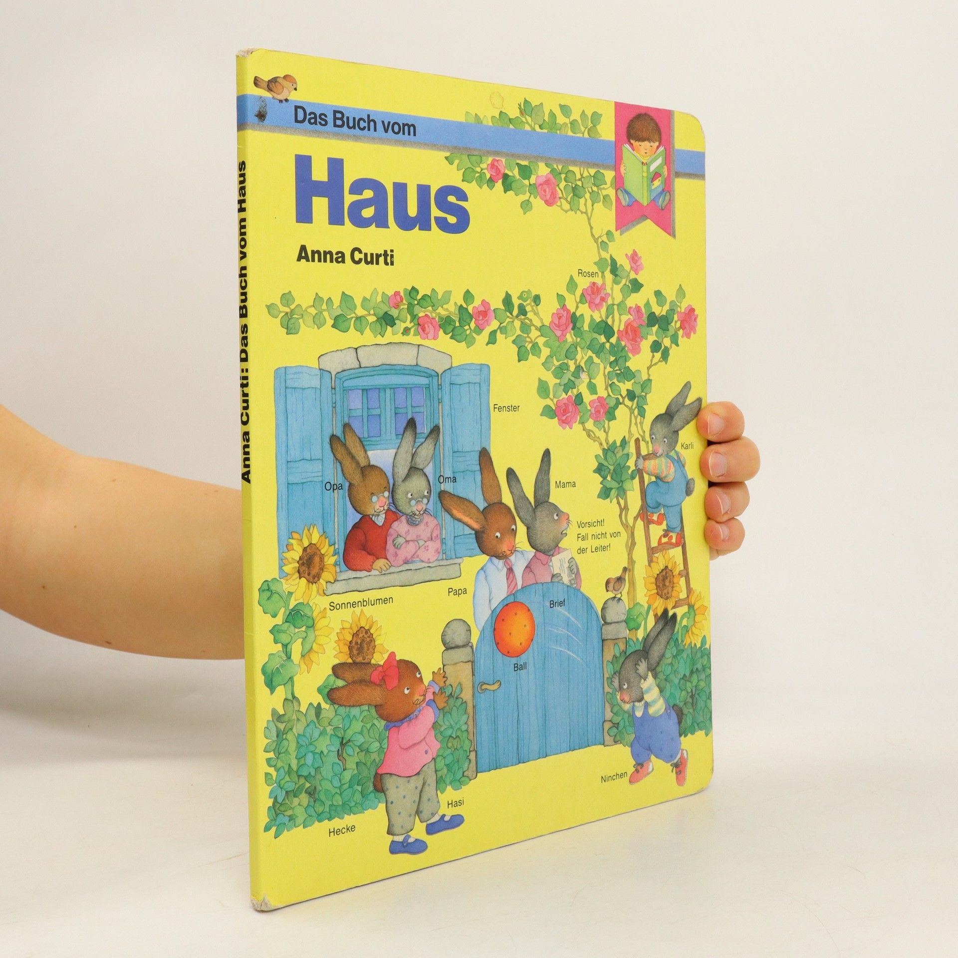 Anna Curti Das Buch vom Haus