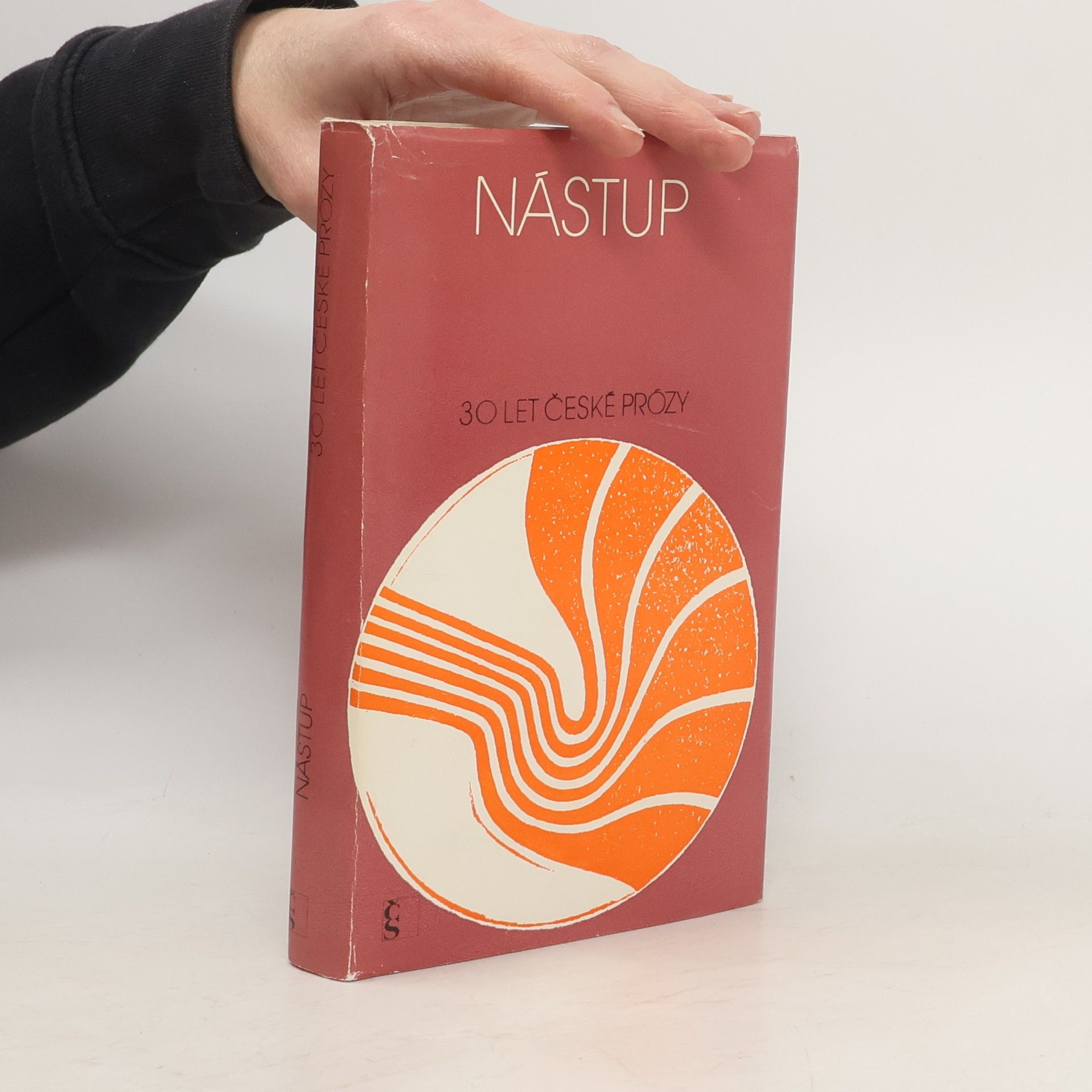 AA.VV. Nástup. Třicet let české prózy