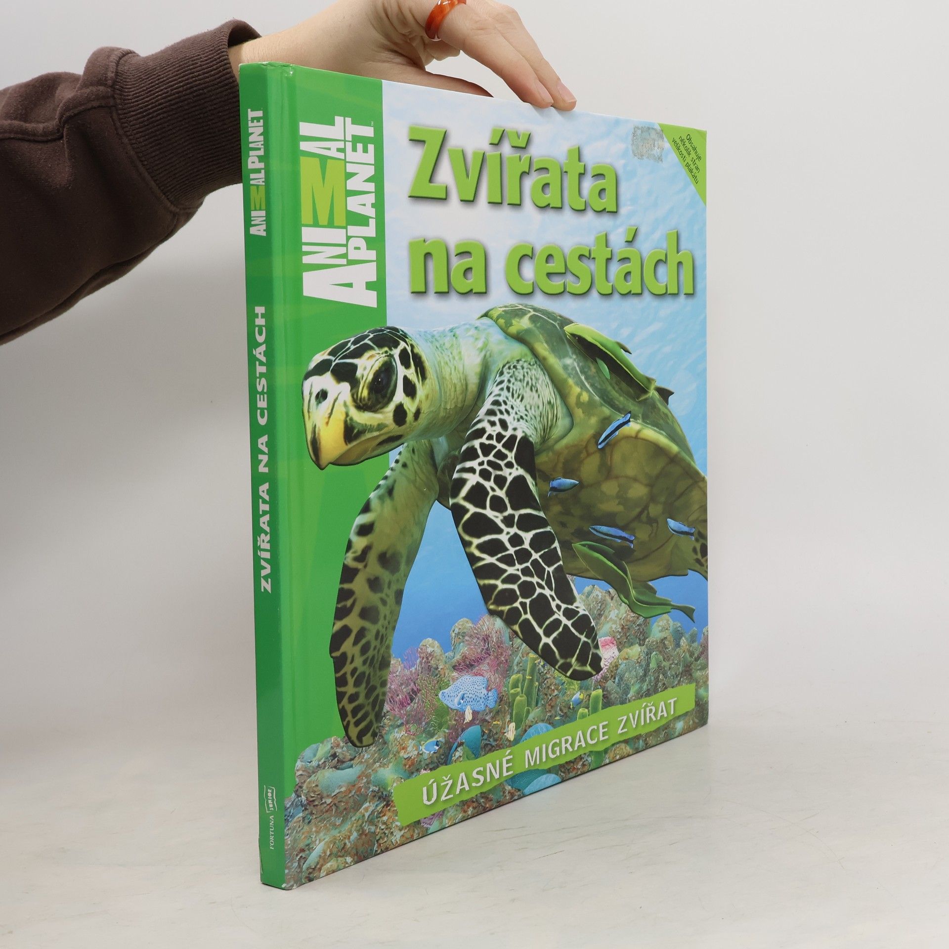 Dwight Holing Zvířata na cestách : úžasné migrace zvířat