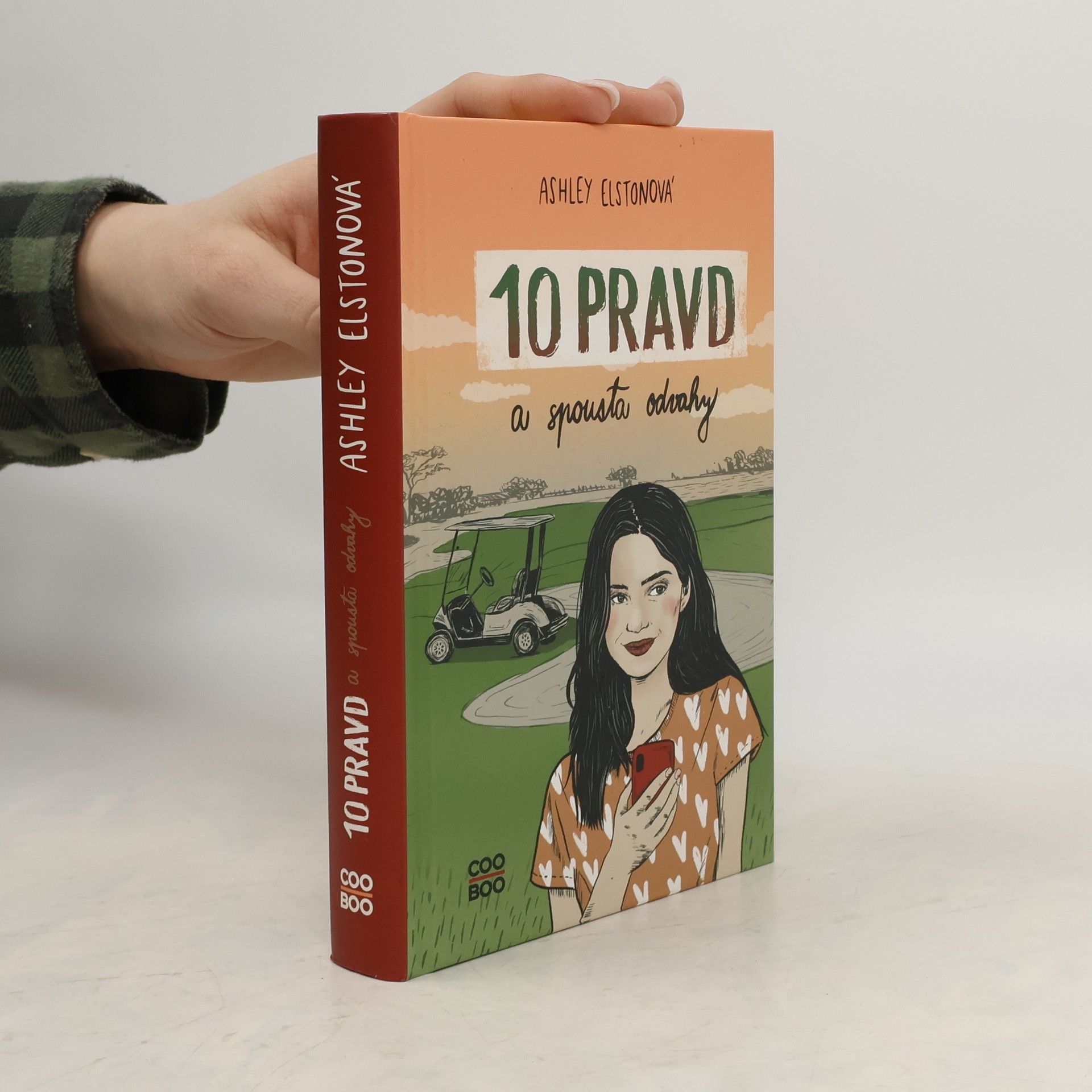 Ashley Elston 10 pravd a spousta odvahy