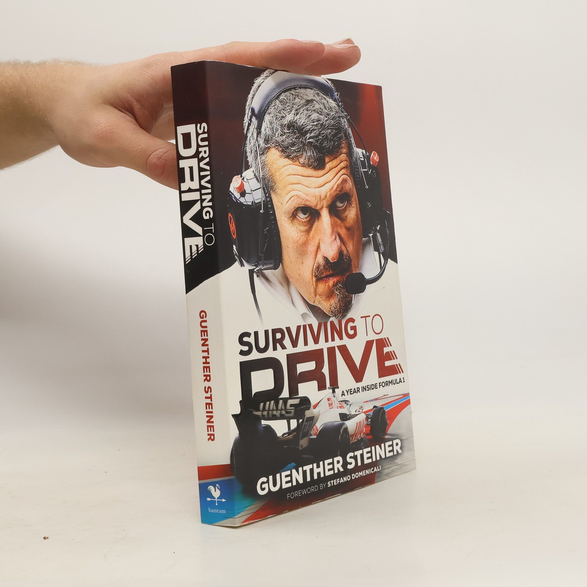 Guenther Steiner Surviving to Drive