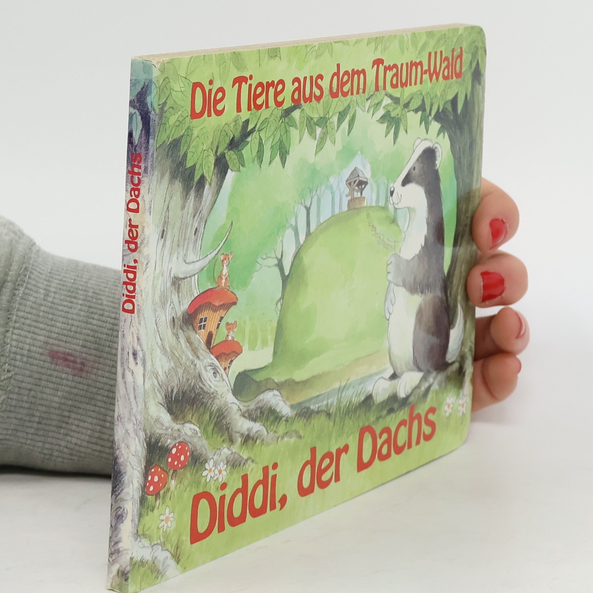 Werner Haupt Die deutsche Schutztruppe 1889 - 1918
