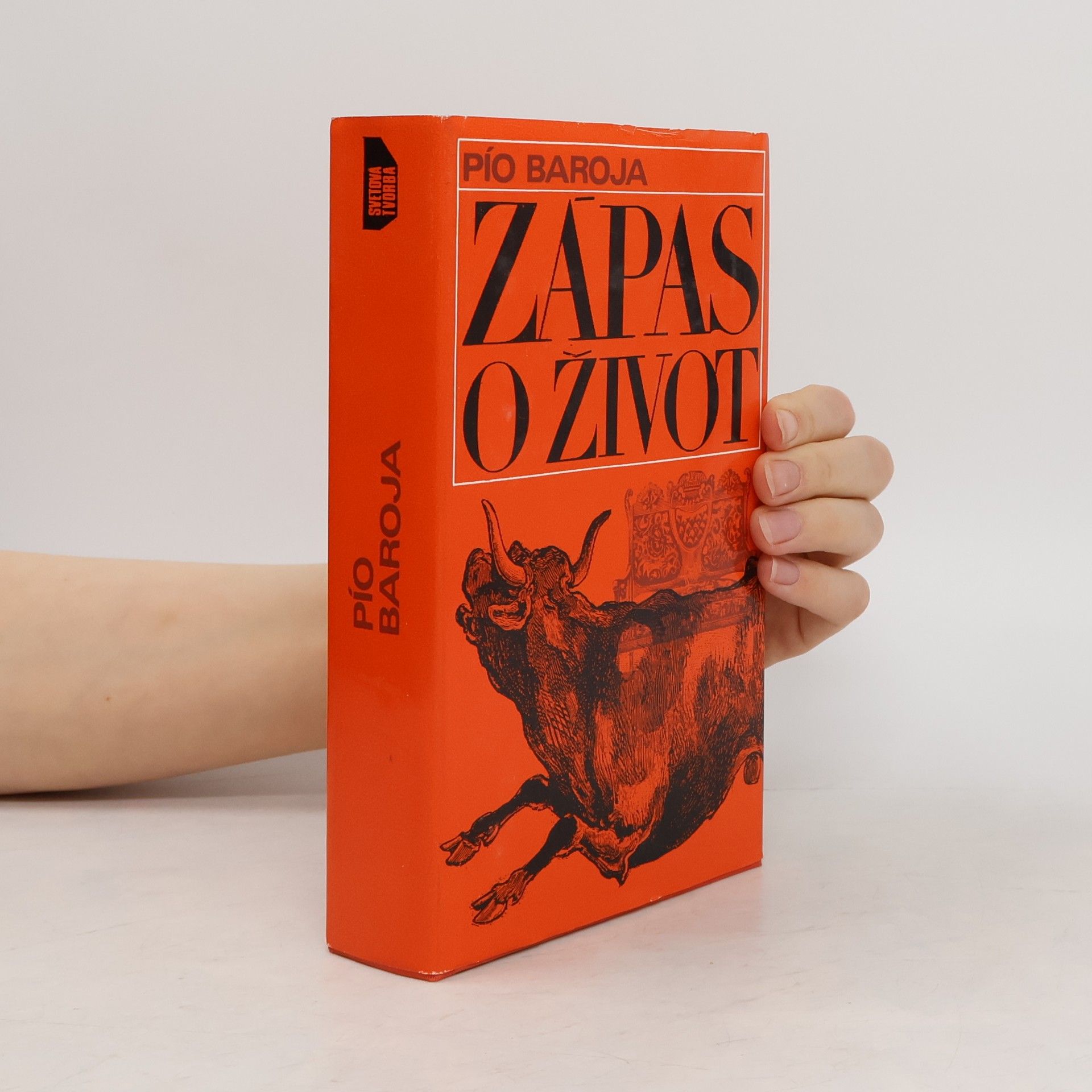 Pío Baroja Zápas o život