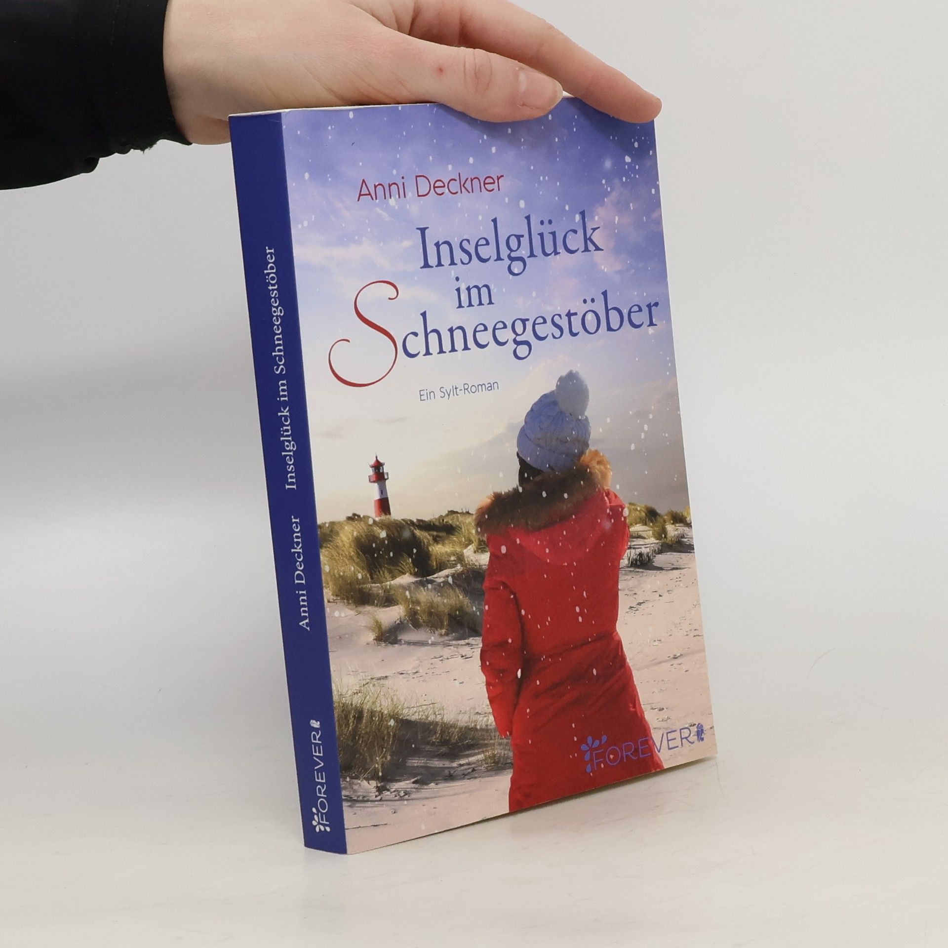 Anni Deckner Inselglück im Schneegestöber