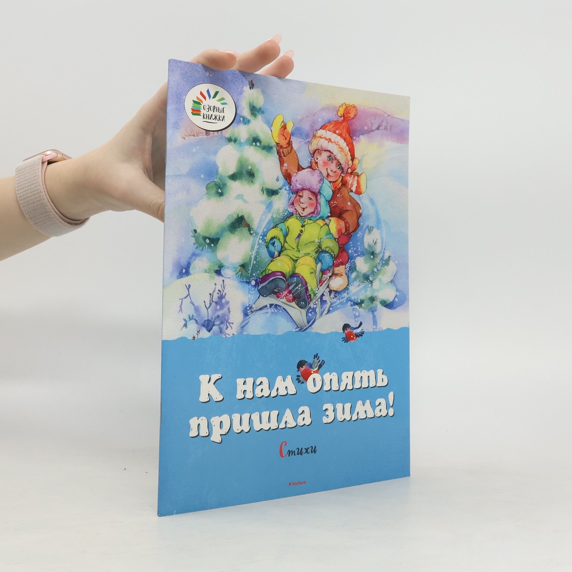 Autorenkollektiv К нам опять пришла зима!