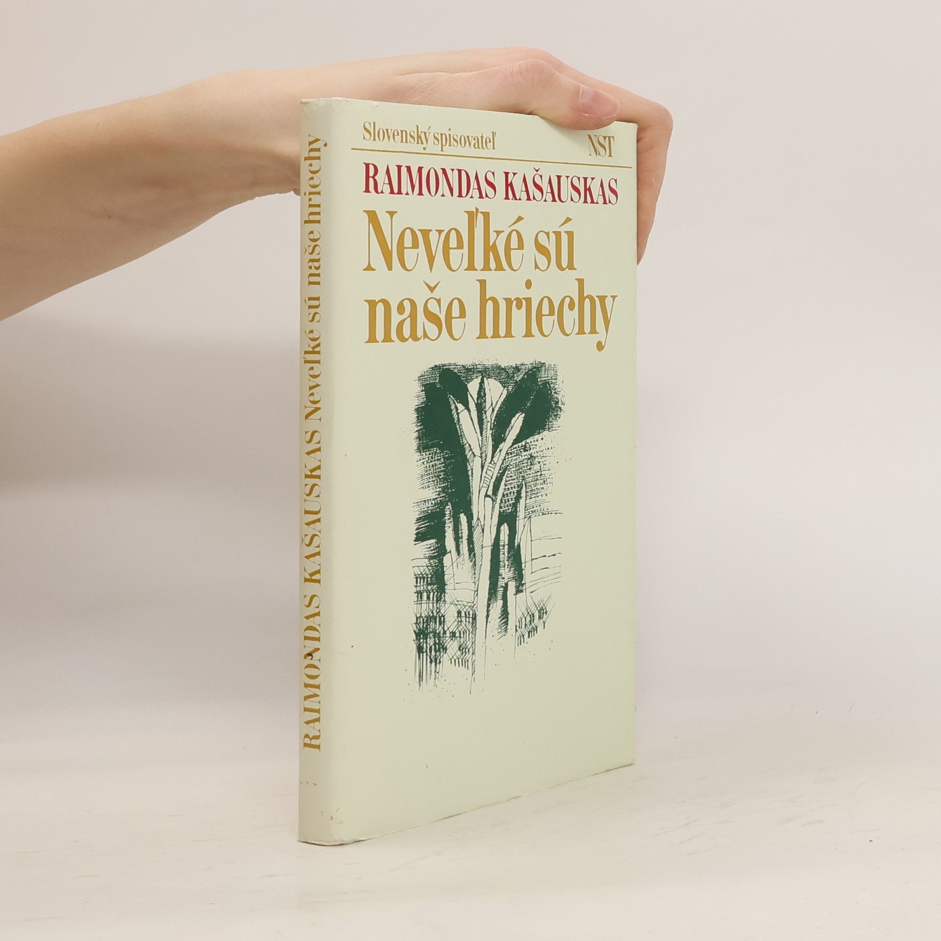 Kašauskas Raimond Neveľké sú naše hriechy