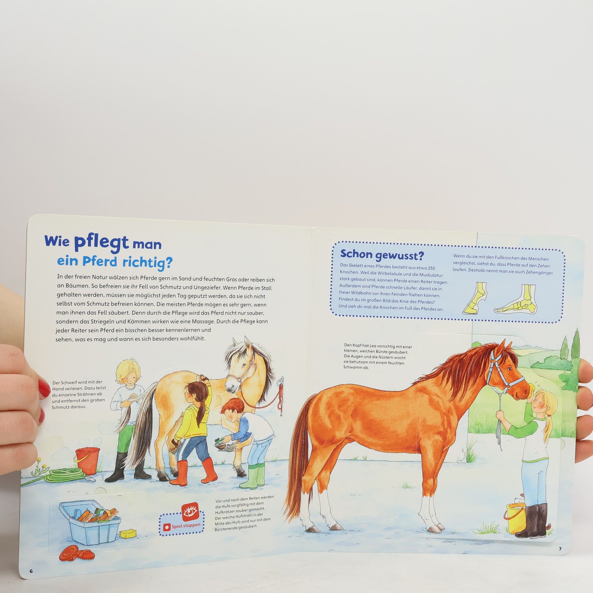 Collectif d'auteurs Pferde und Ponys