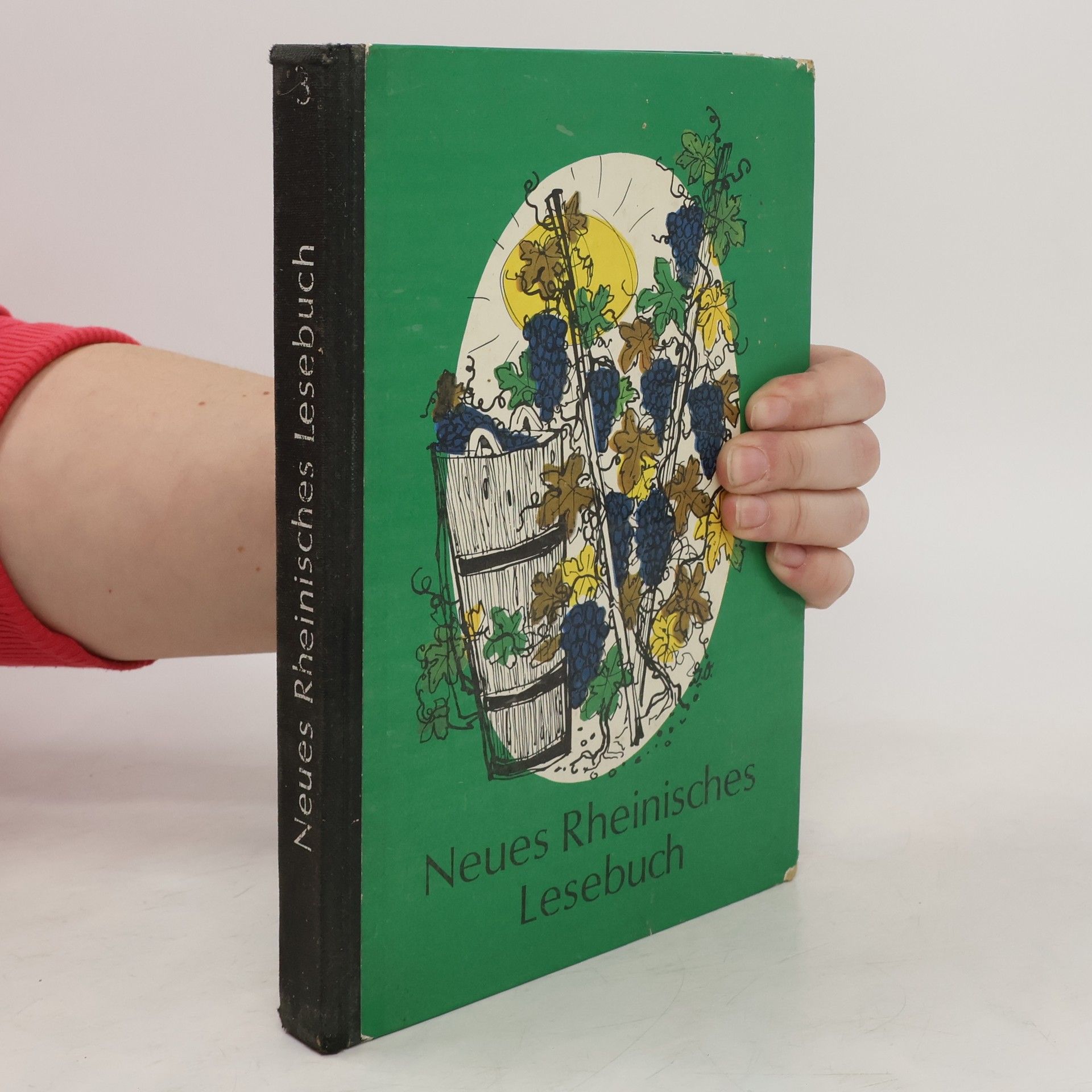 Collective Neues Rheinisches Lesebuch