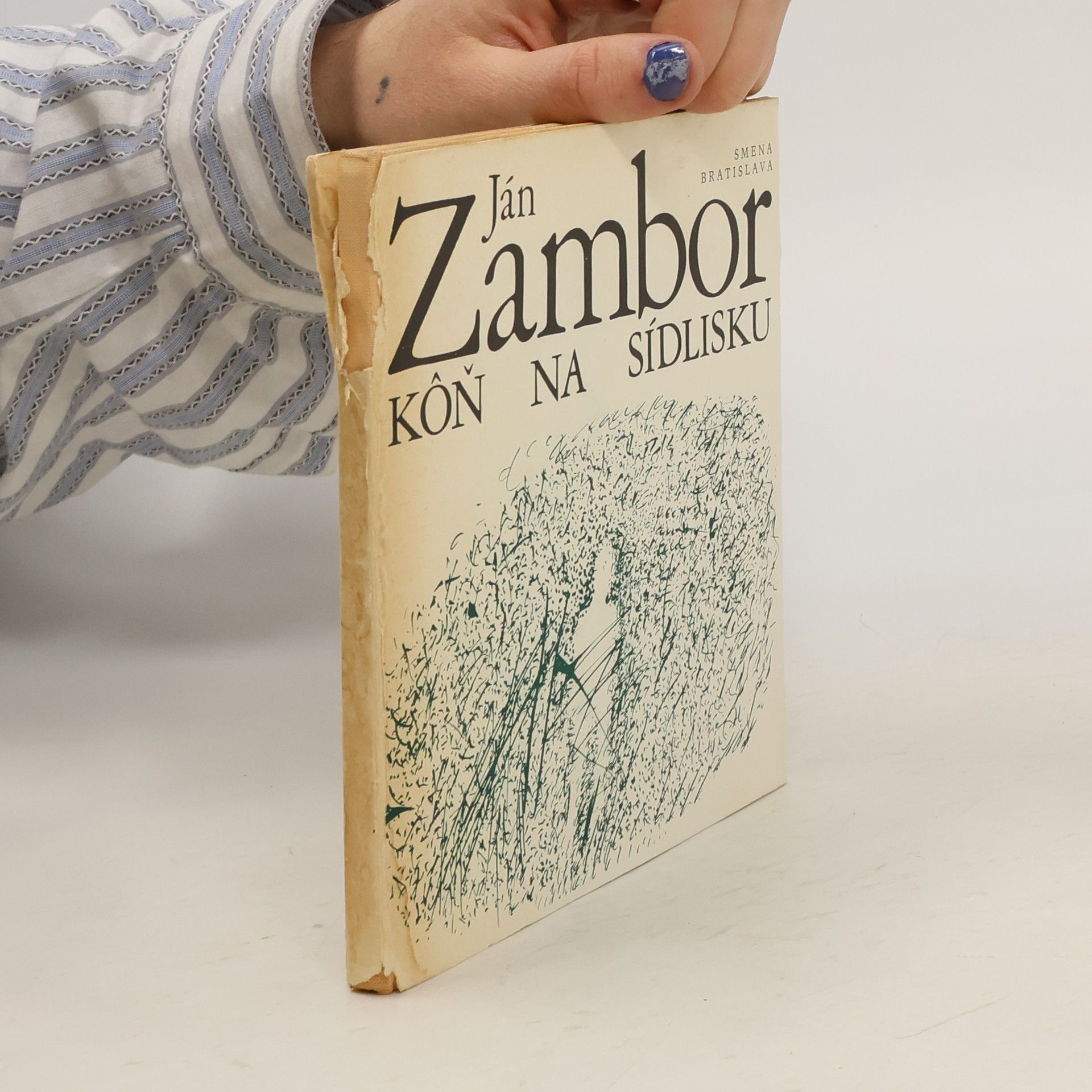 Ján Zambor Kôn na sídlisku